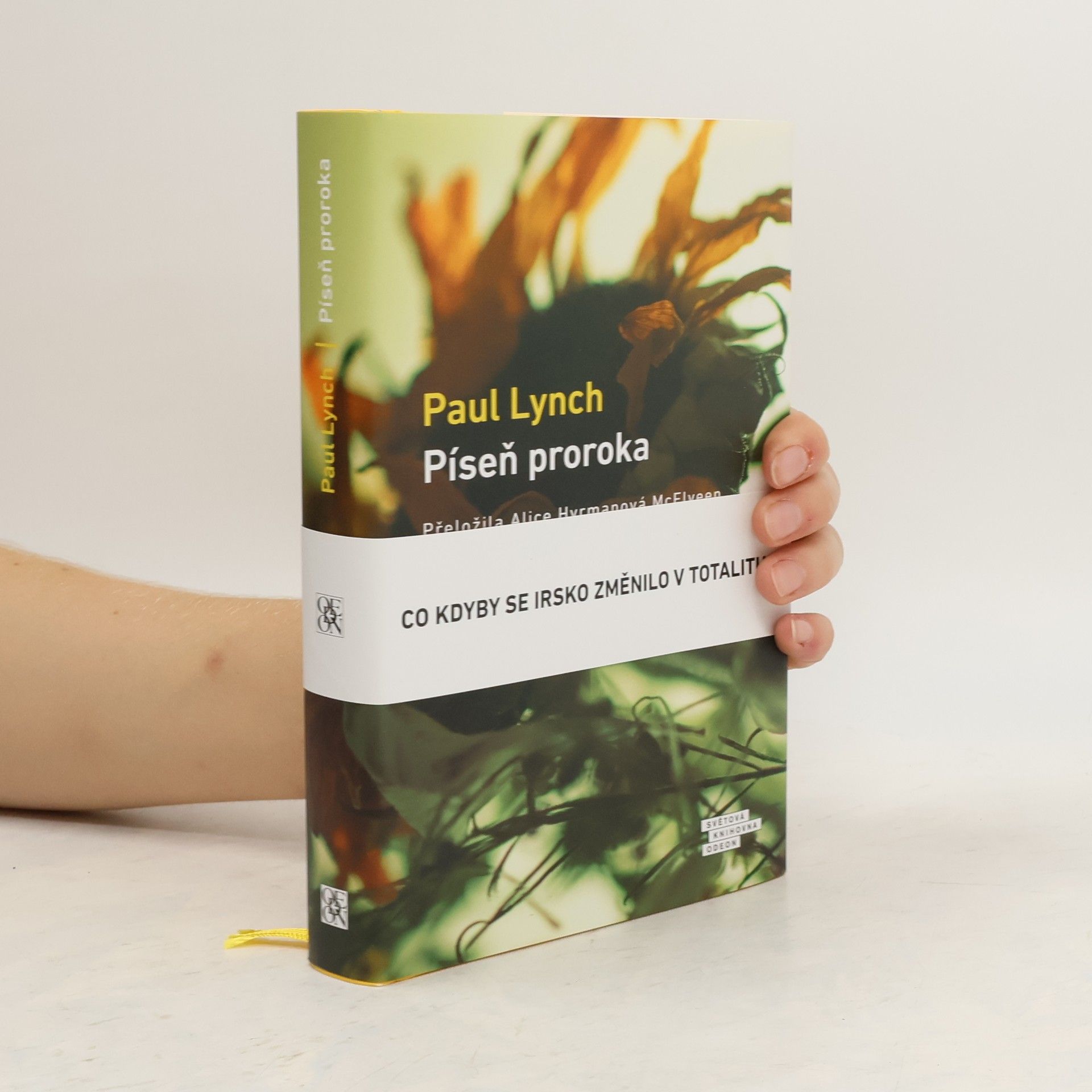 Paul Lynch Píseň proroka