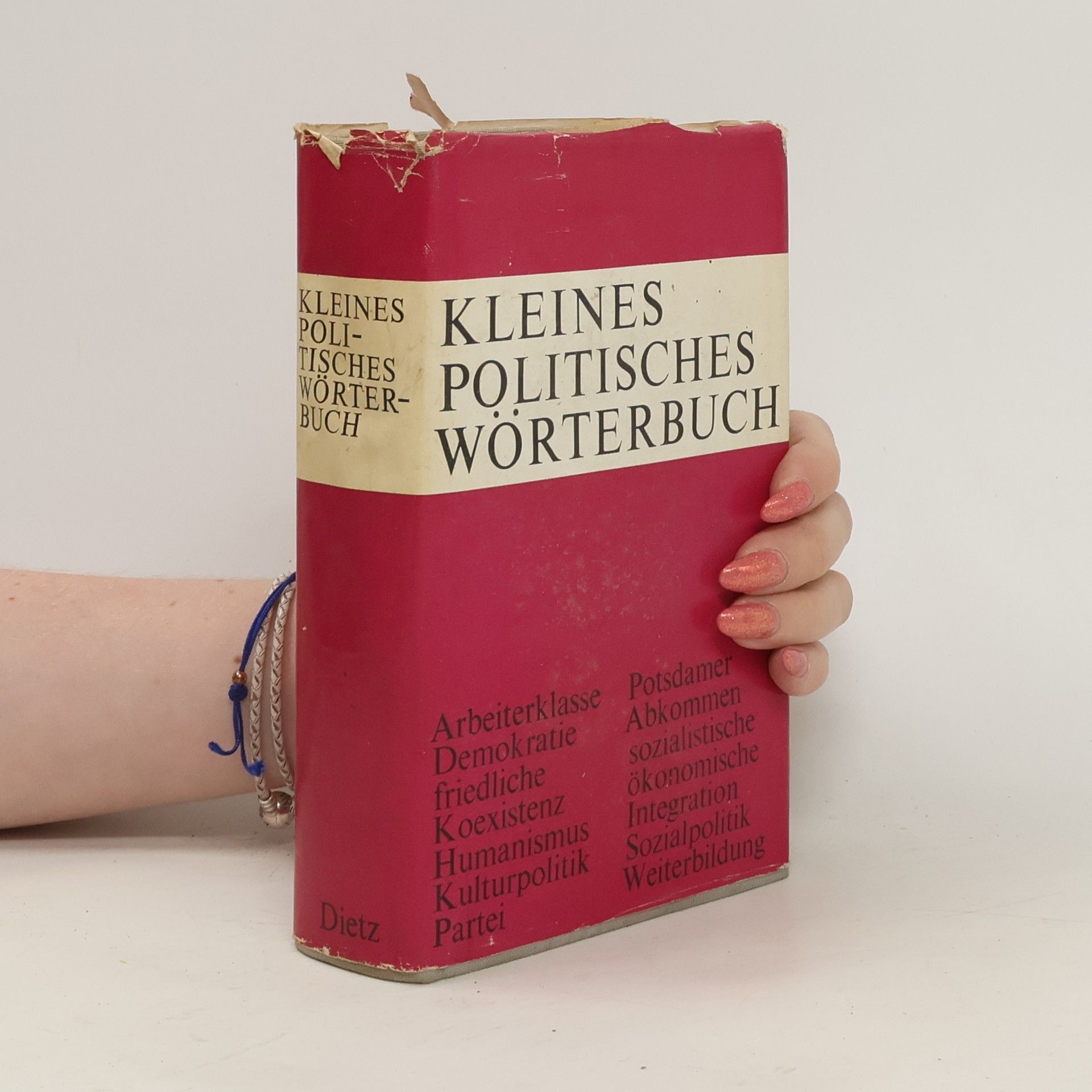 Collective Kleines Politisches Wörterbuch