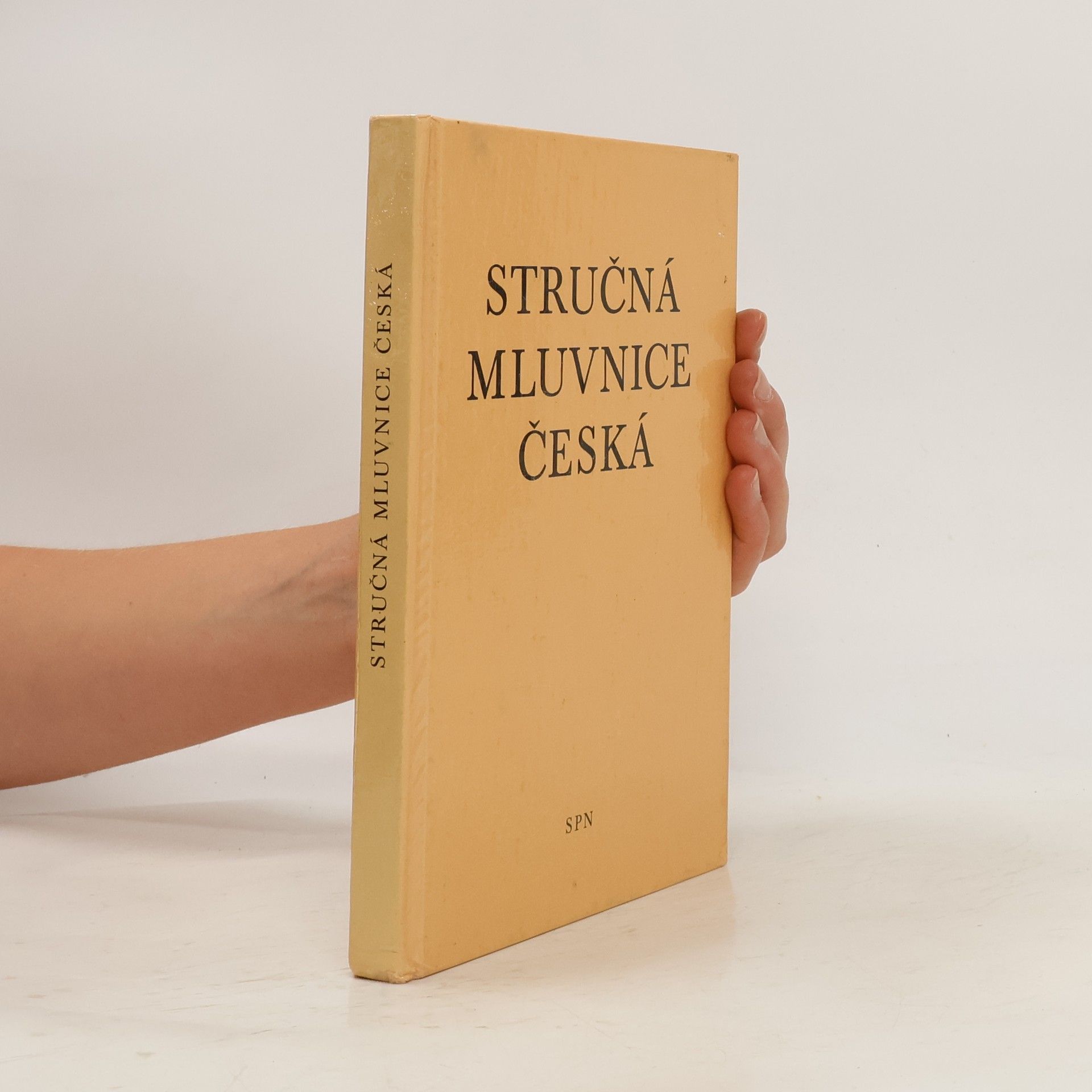 Autorenkollektiv Stručná mluvnice česká