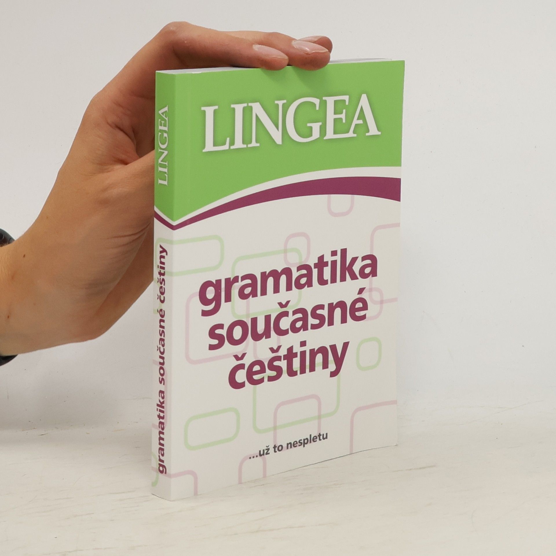 Autorenkollektiv Gramatika současné češtiny
