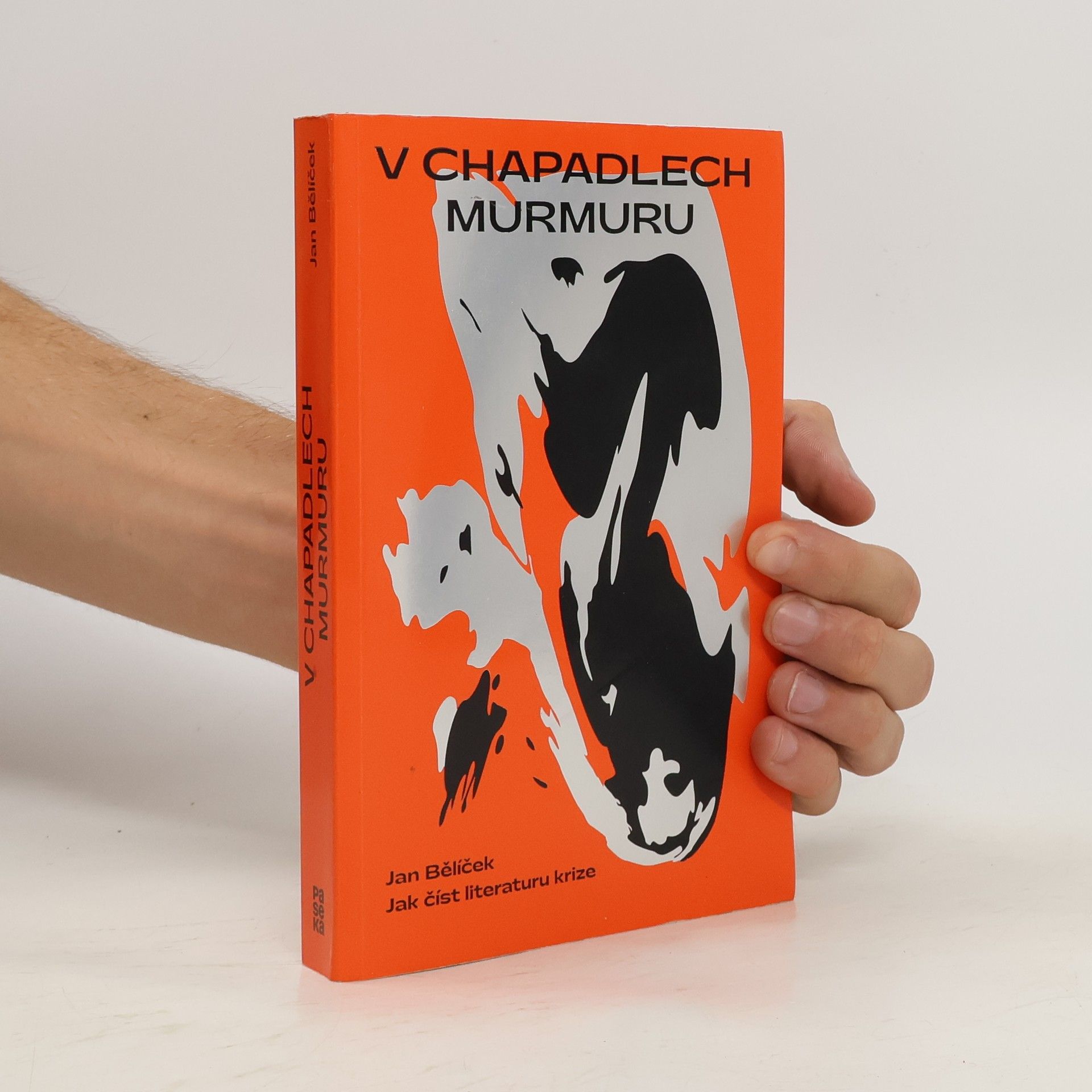 Jan Bělíček V chapadlech murmuru : jak číst literaturu krize