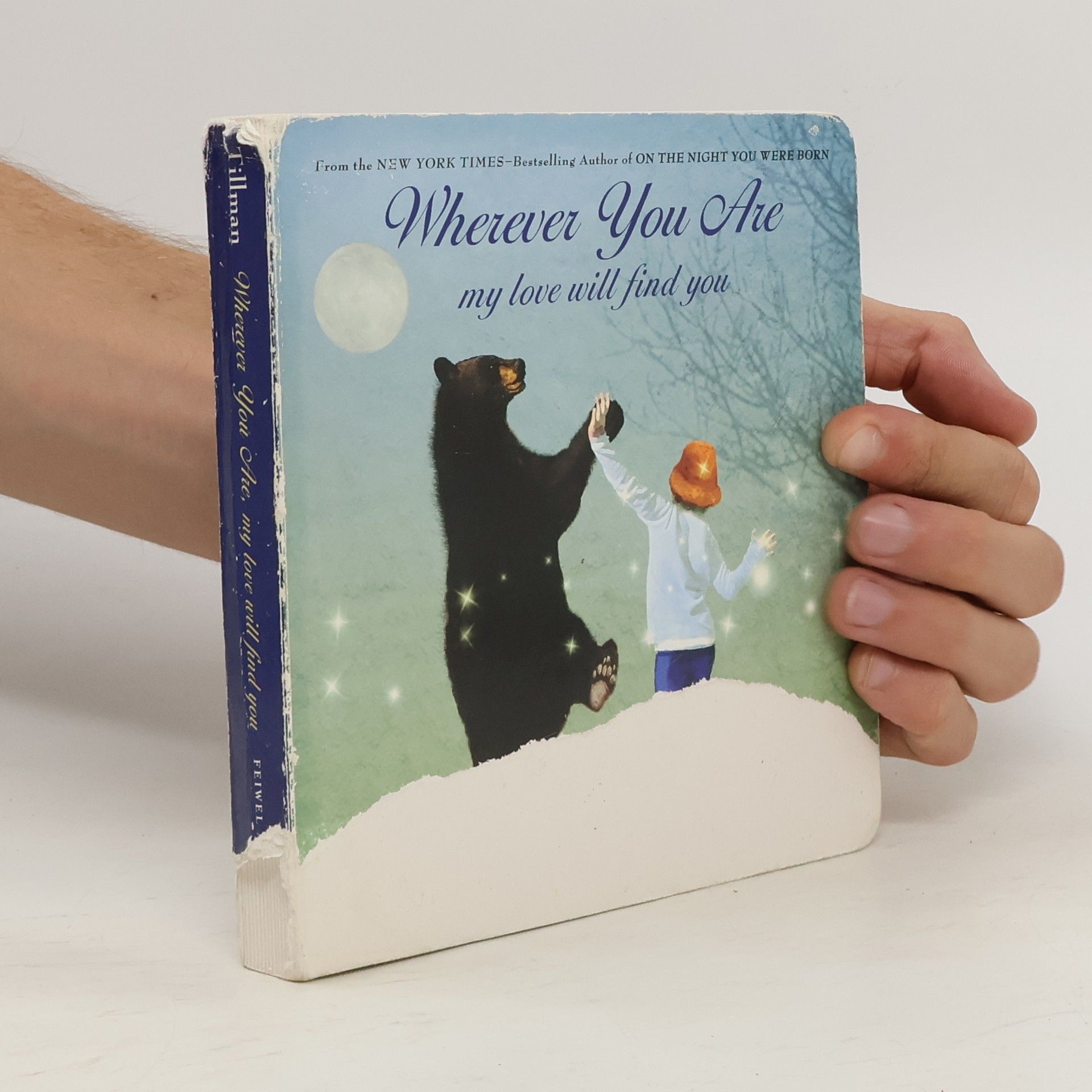 Nancy Tillman Wherever You Are: My Love Will Find You