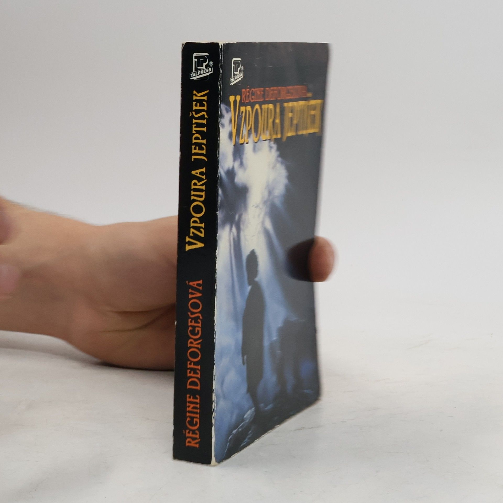 Régine Deforges Vzpoura jeptišek