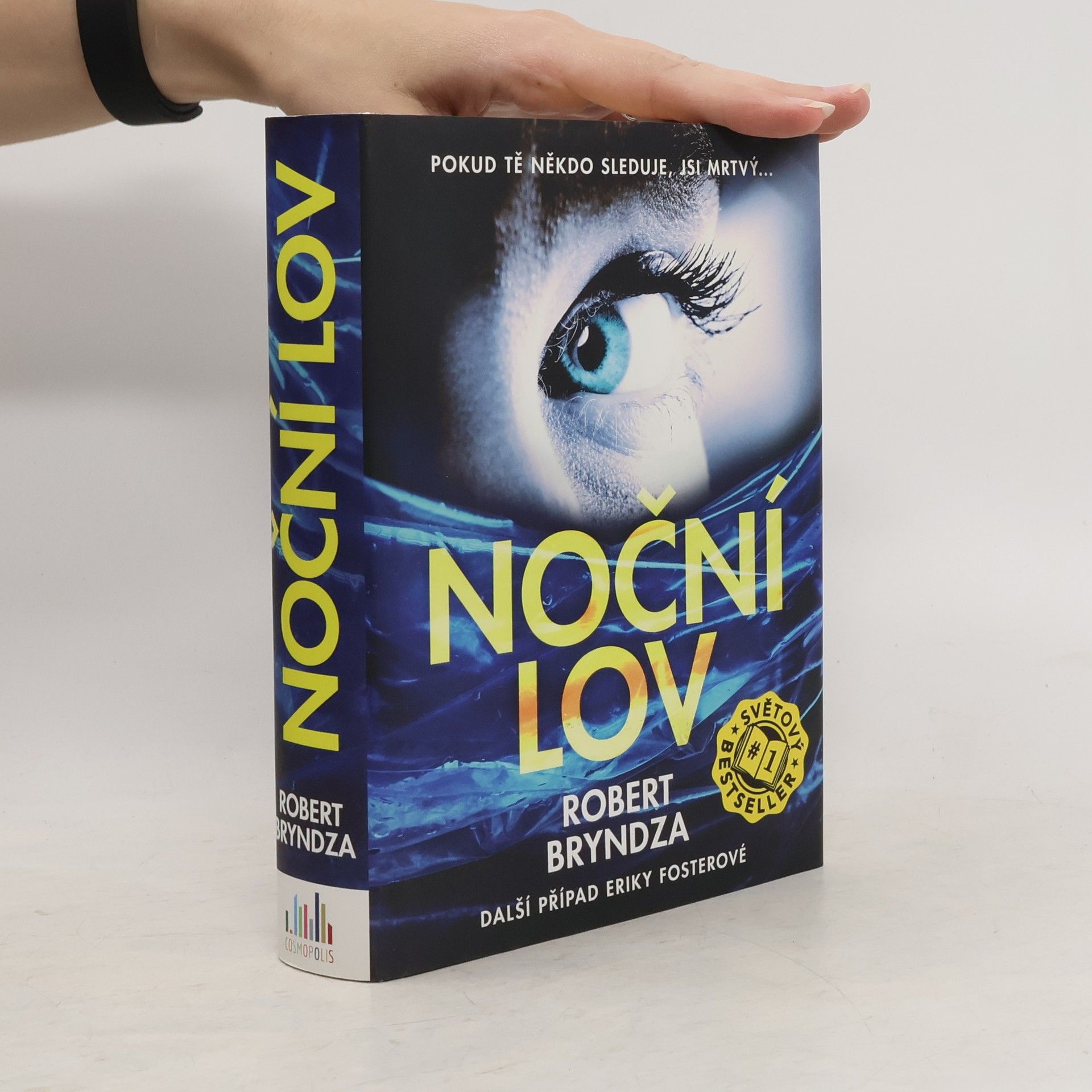 Robert Bryndza Noční lov
