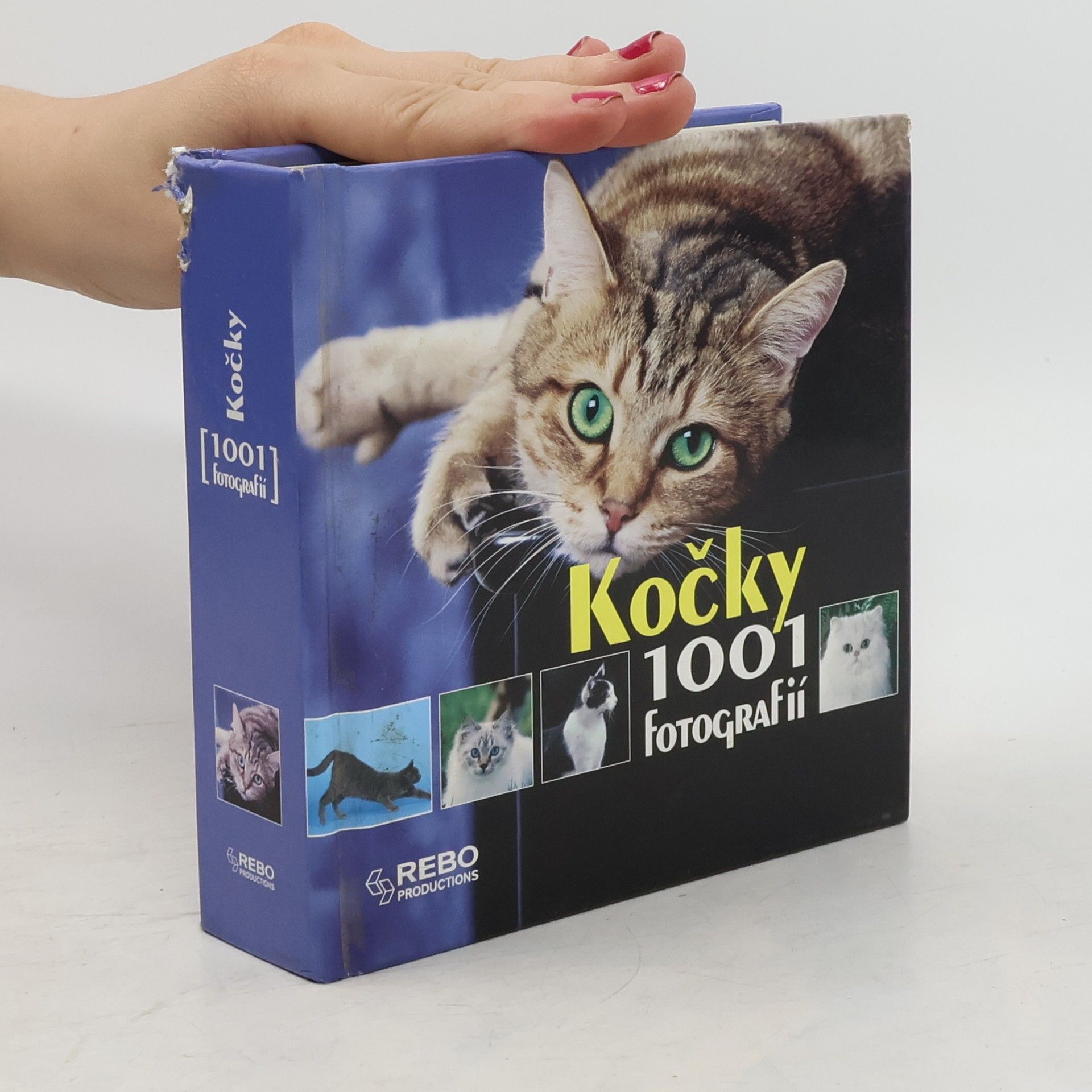 Yann Susic Kočky. 1001 fotografií