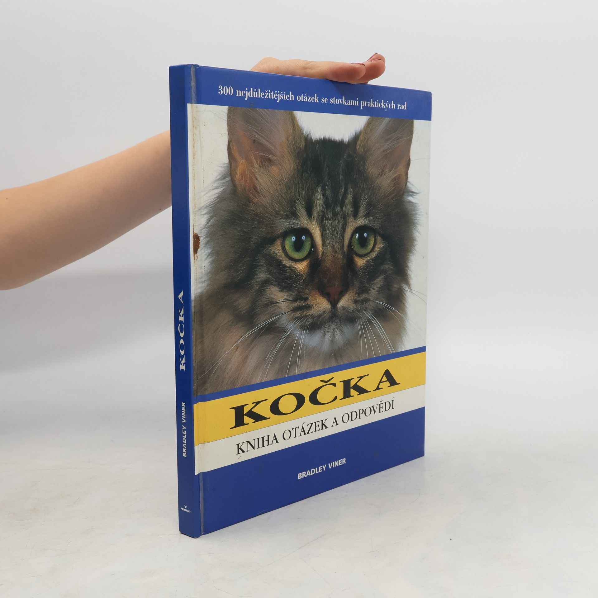 Bradley Viner Kočka. Kniha otázek a odpovědí