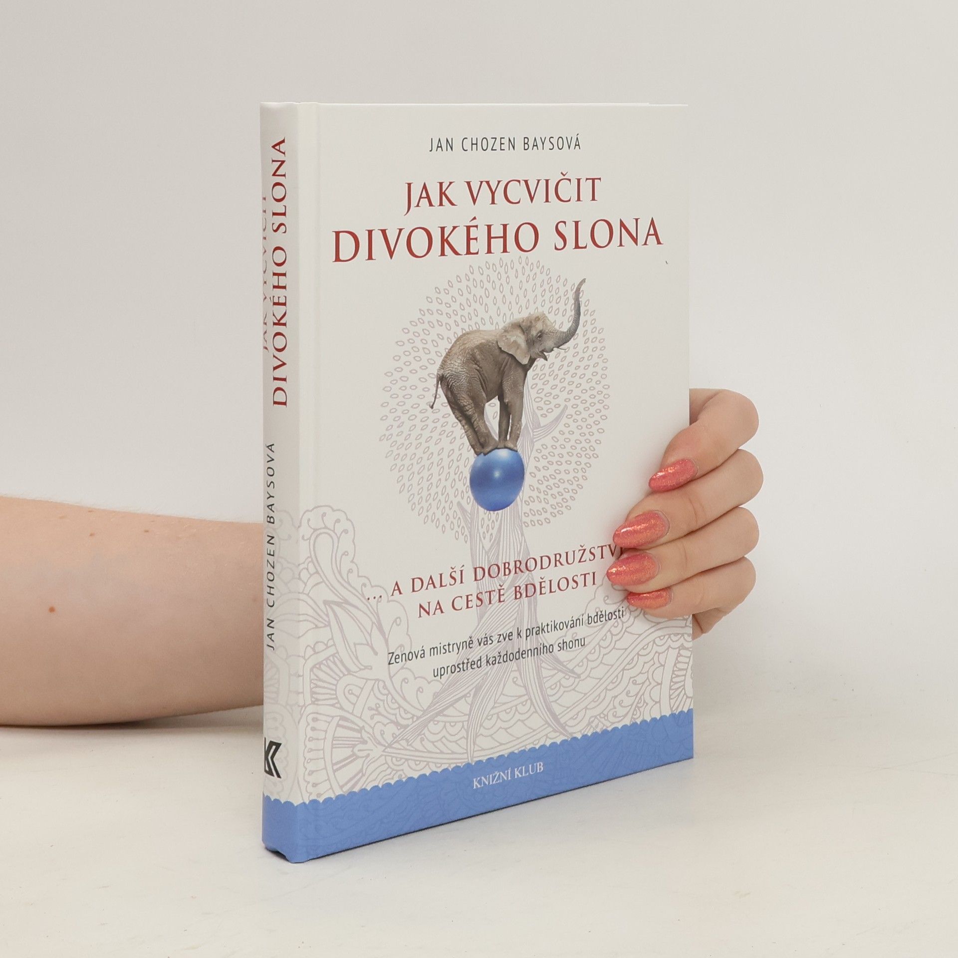 Jan Chozen Bays Jak vycvičit divokého slona...a další dobrodružství na cestě bdělosti
