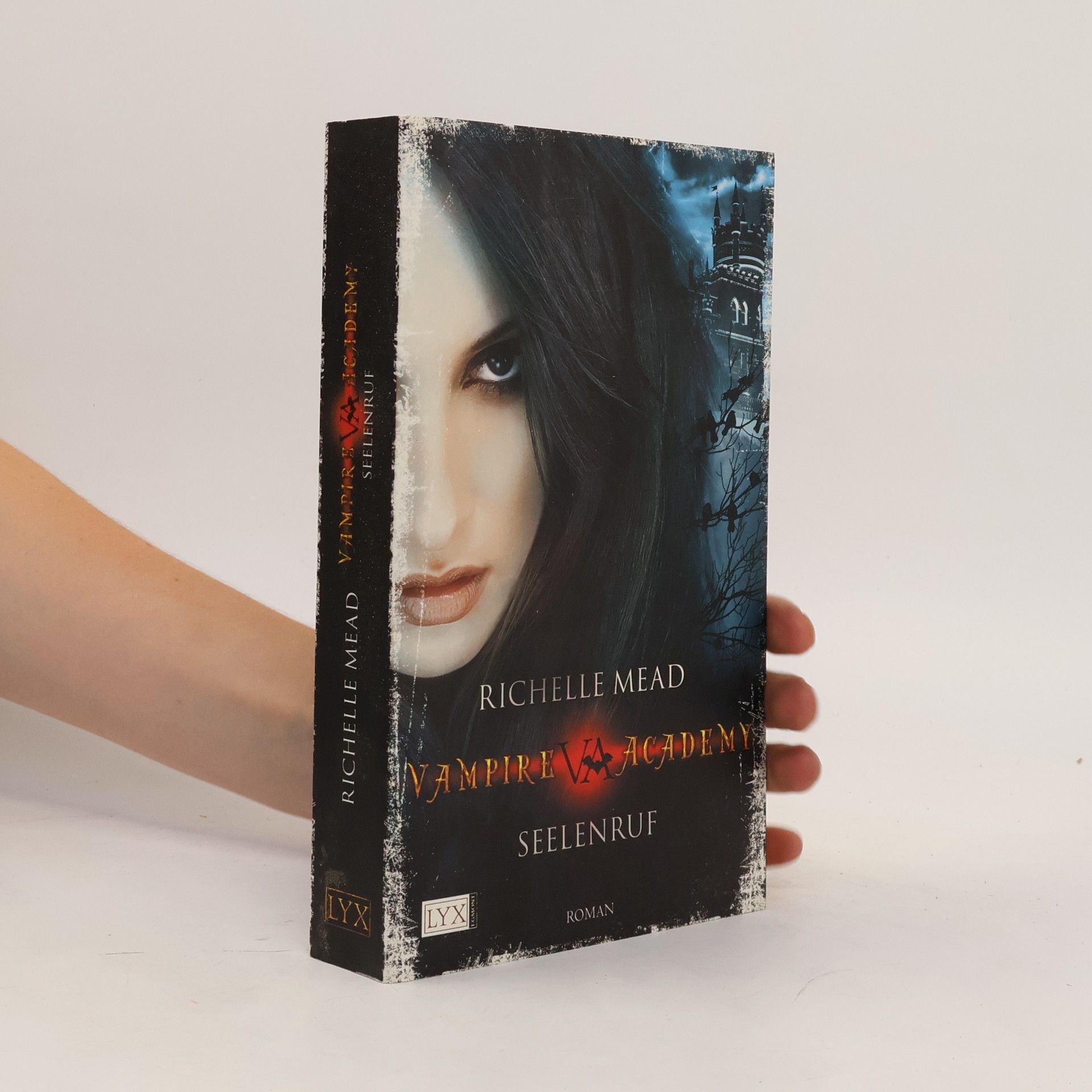 Richelle Mead Vampire Academy. Seelenruf