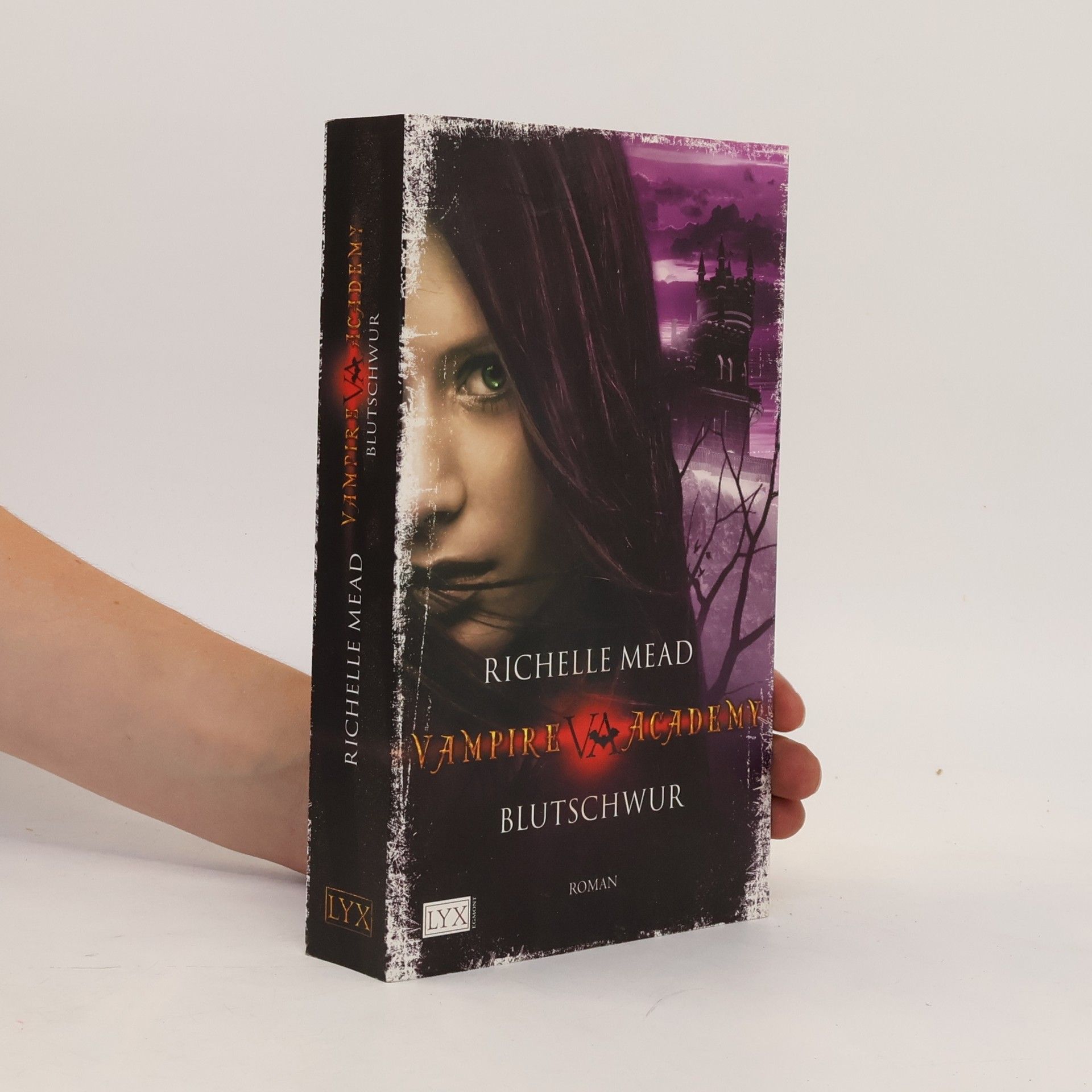 Richelle Mead Vampire Academy. Blutschwur