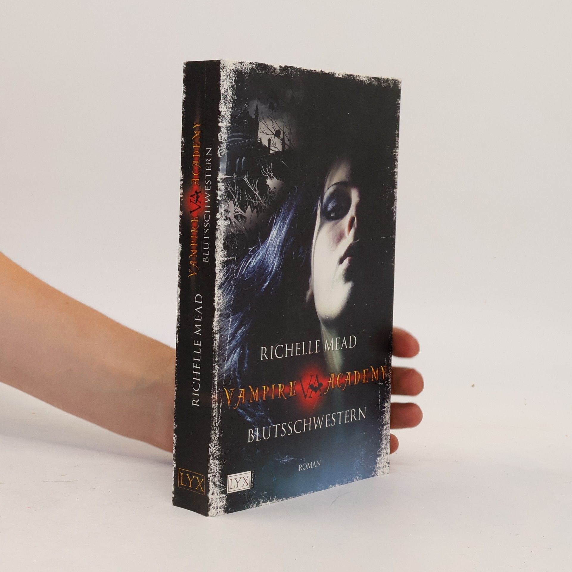 Richelle Mead Vampire Academy 1