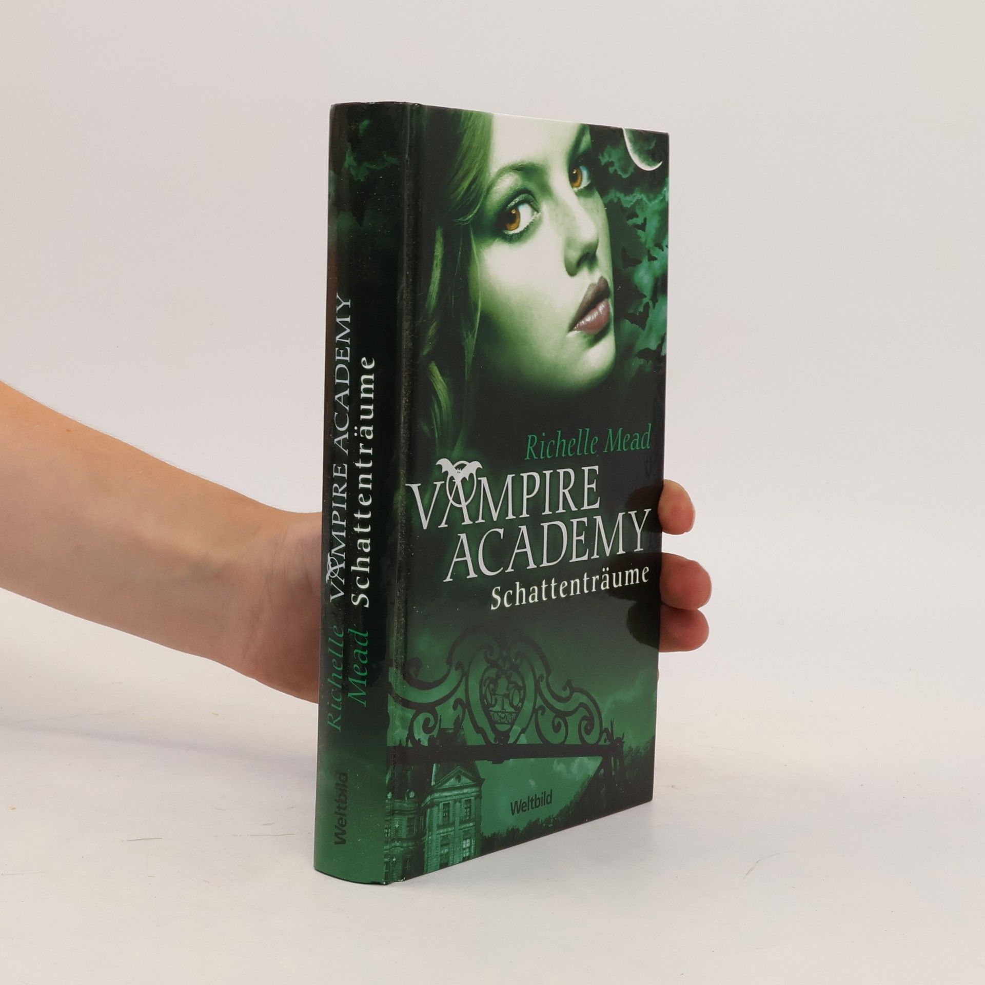 Richelle Mead Vampire Academy. Schattenträume