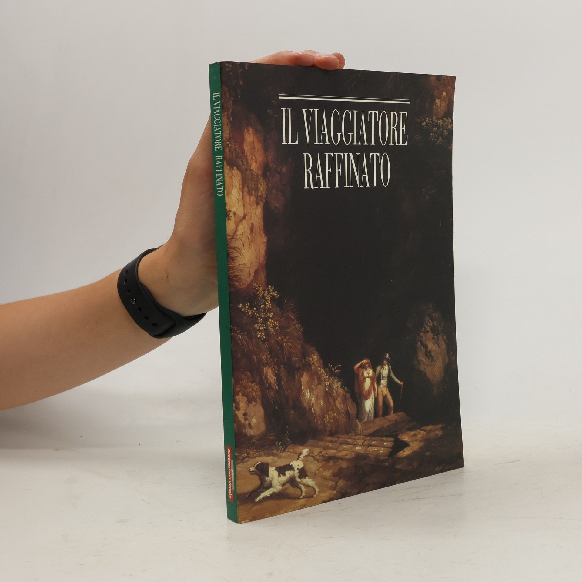 AA.VV. Il viaggiatore raffinato