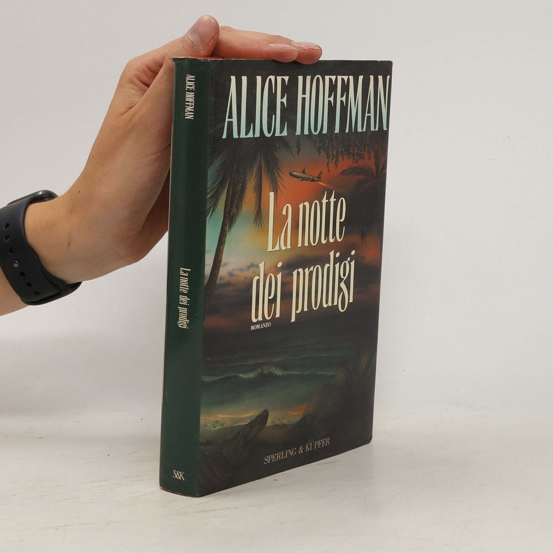 Alice Hoffmann La notte dei prodigi
