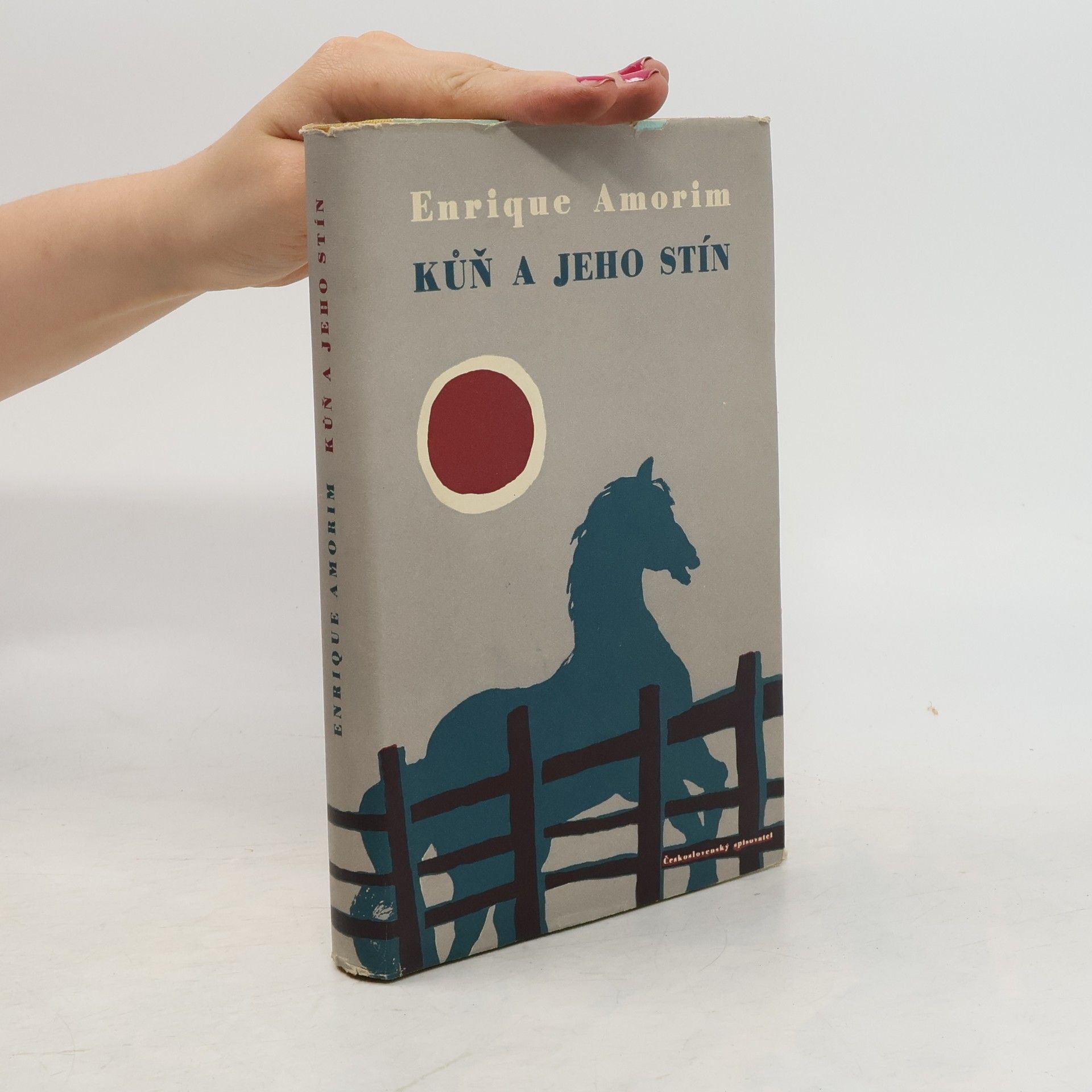 Enrique Amorim Kůň a jeho stín