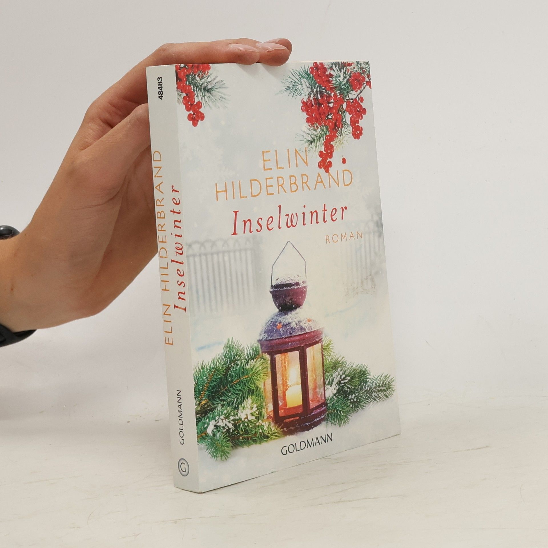 Elin Hilderbrand Inselwinter