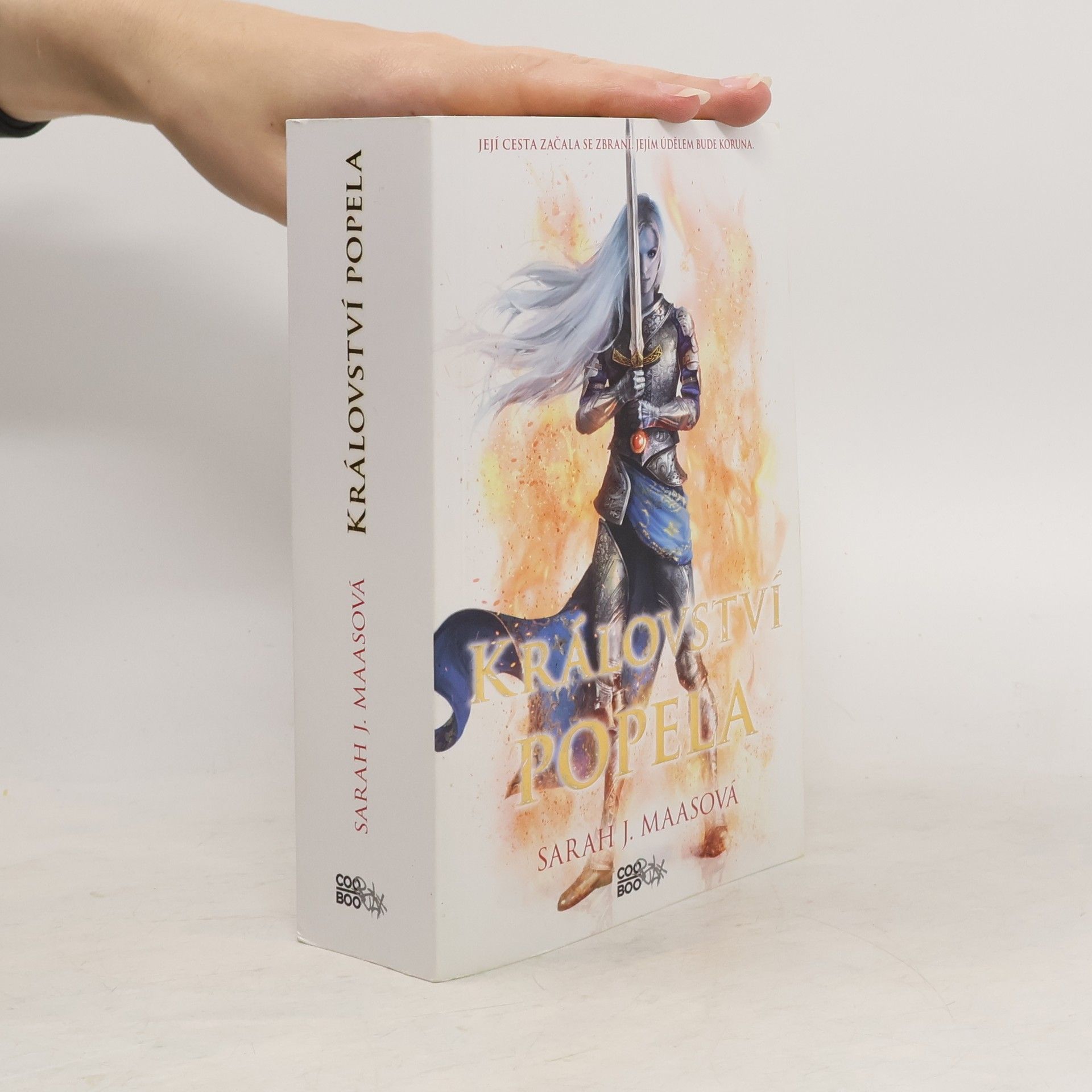 Sarah J. Maas Království popela