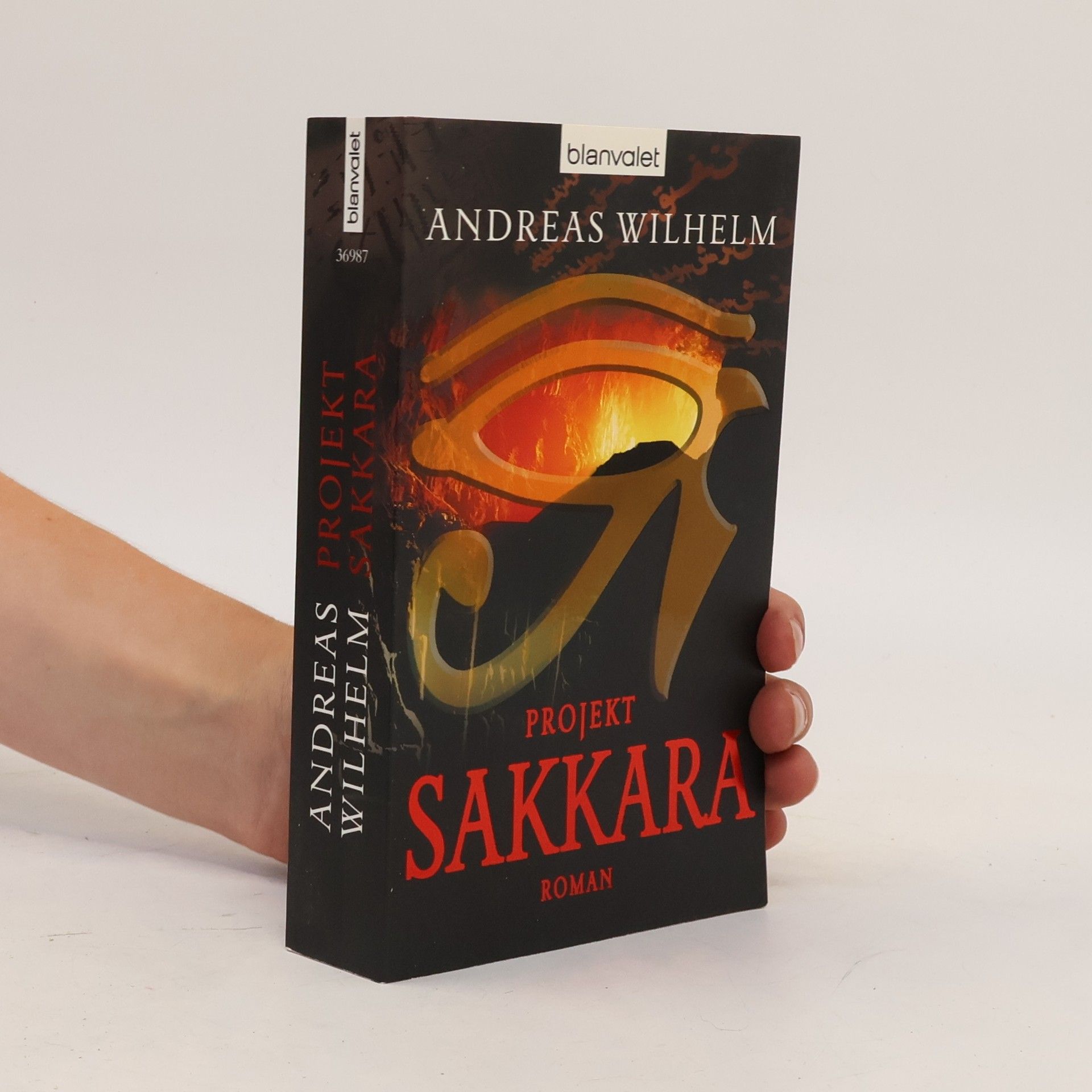 Andreas Wilhelm Projekt: Sakkara