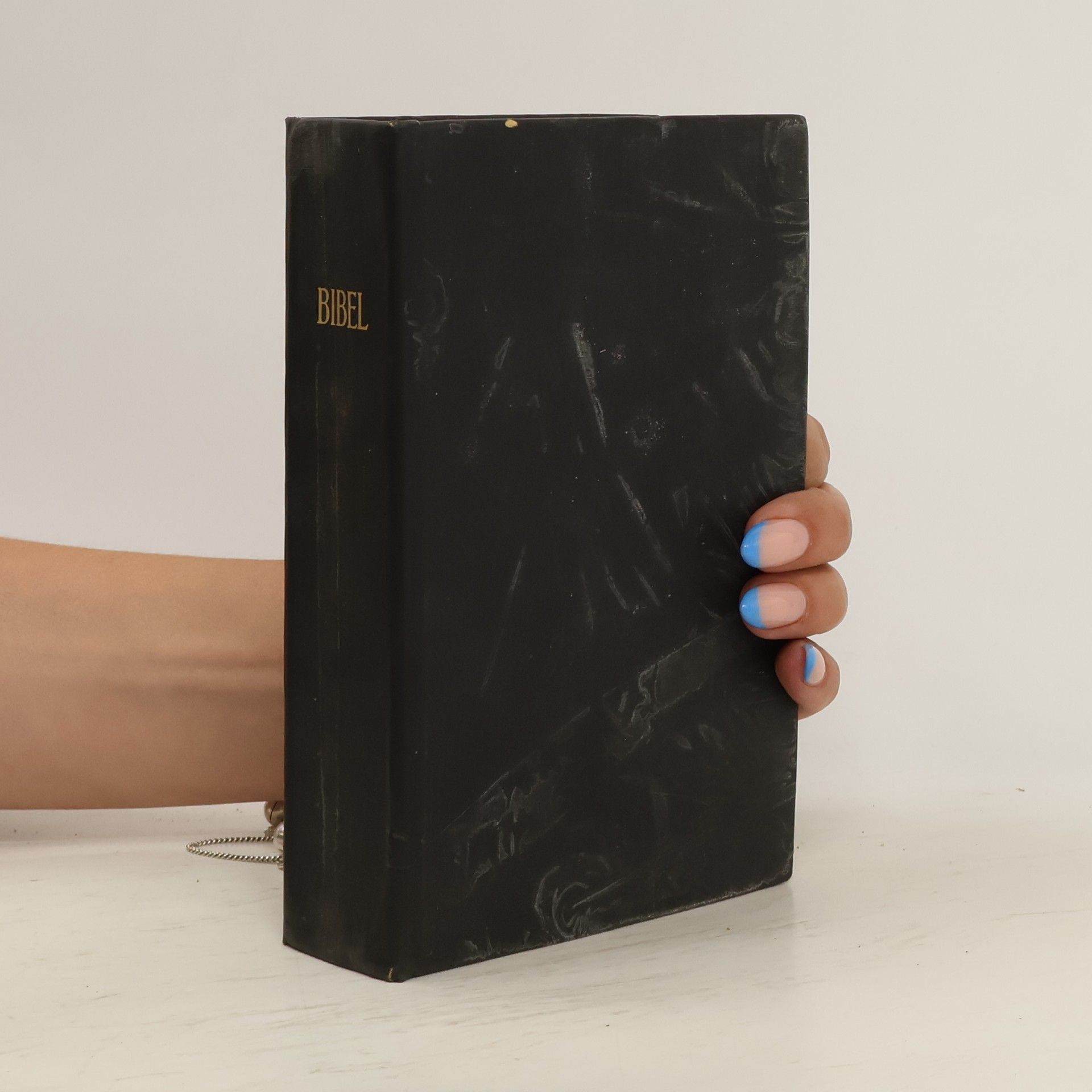Autorenkollektiv Die Heilige Schrift des Alten und Neuen Testaments