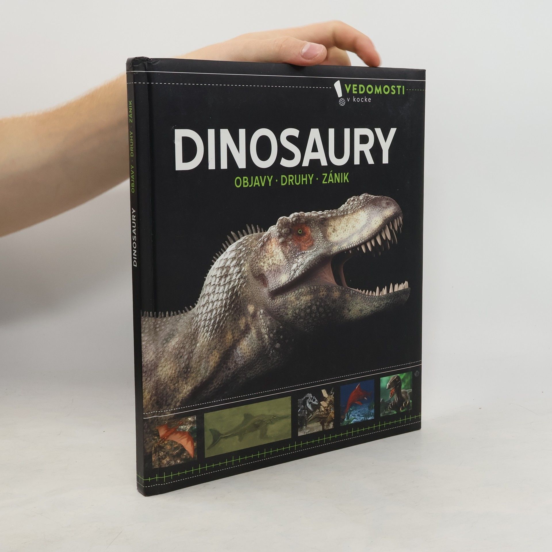 kolektiv Dinosaury
