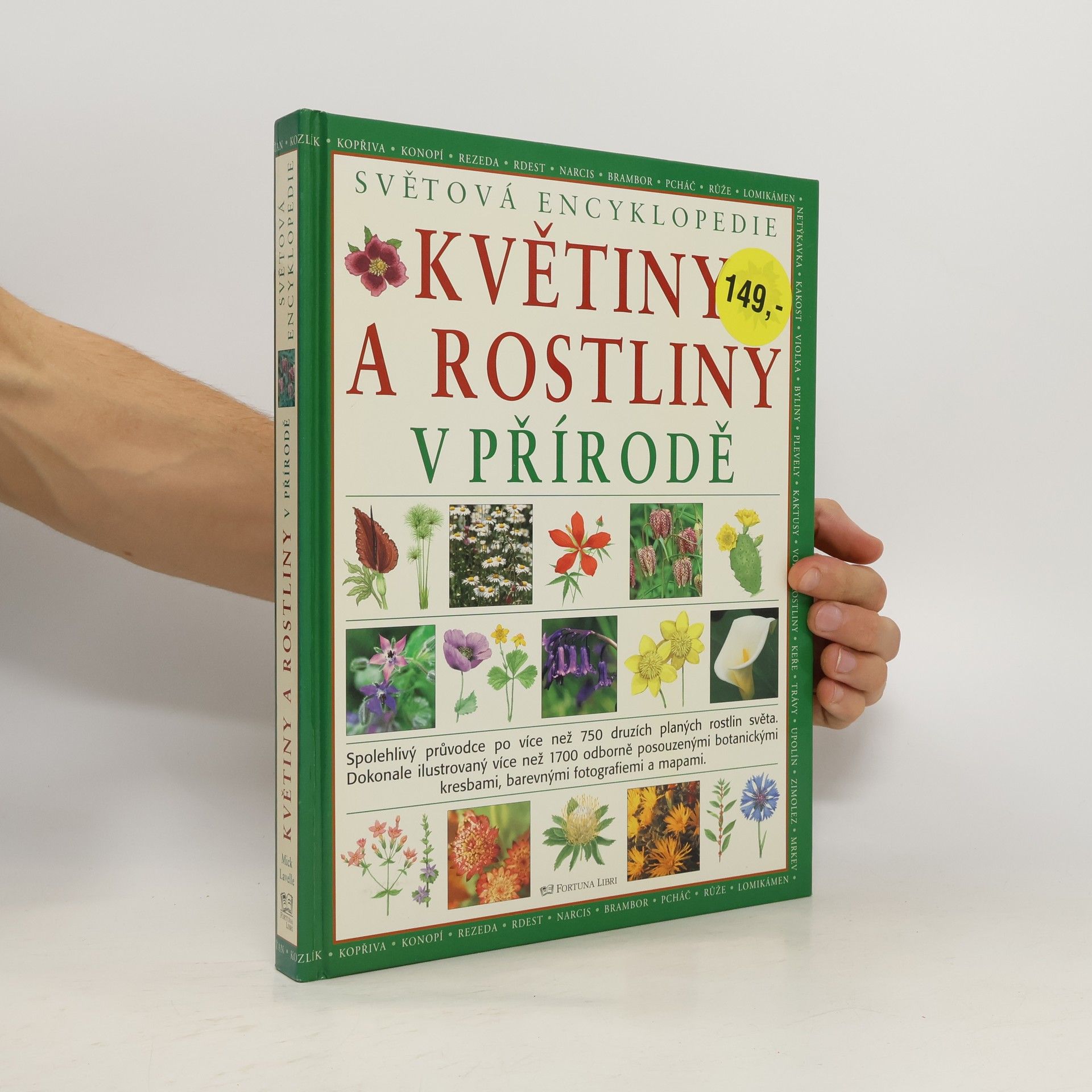 Mick Lavelle Květiny a rostliny v přírodě