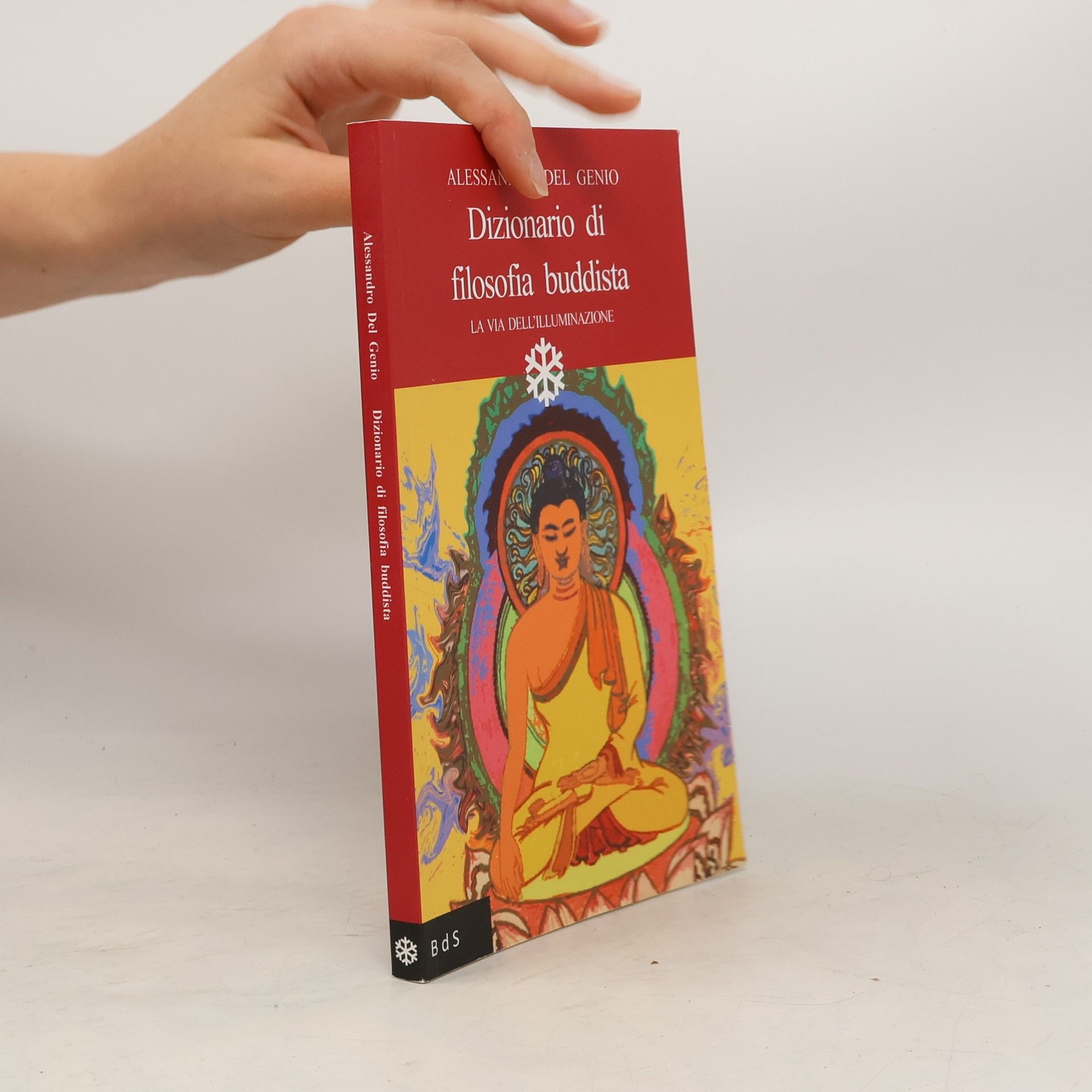 Alessandro Del Genio Dizionario di filosofia buddista. La via dell'illuminazione