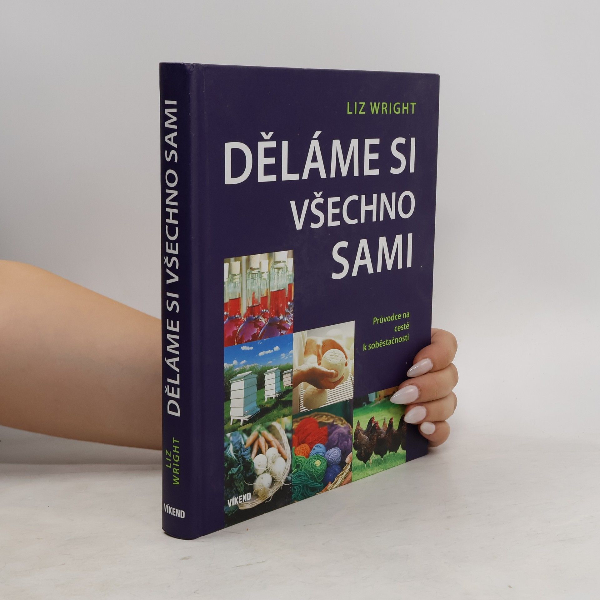 Liz Wright Děláme si všechno sami
