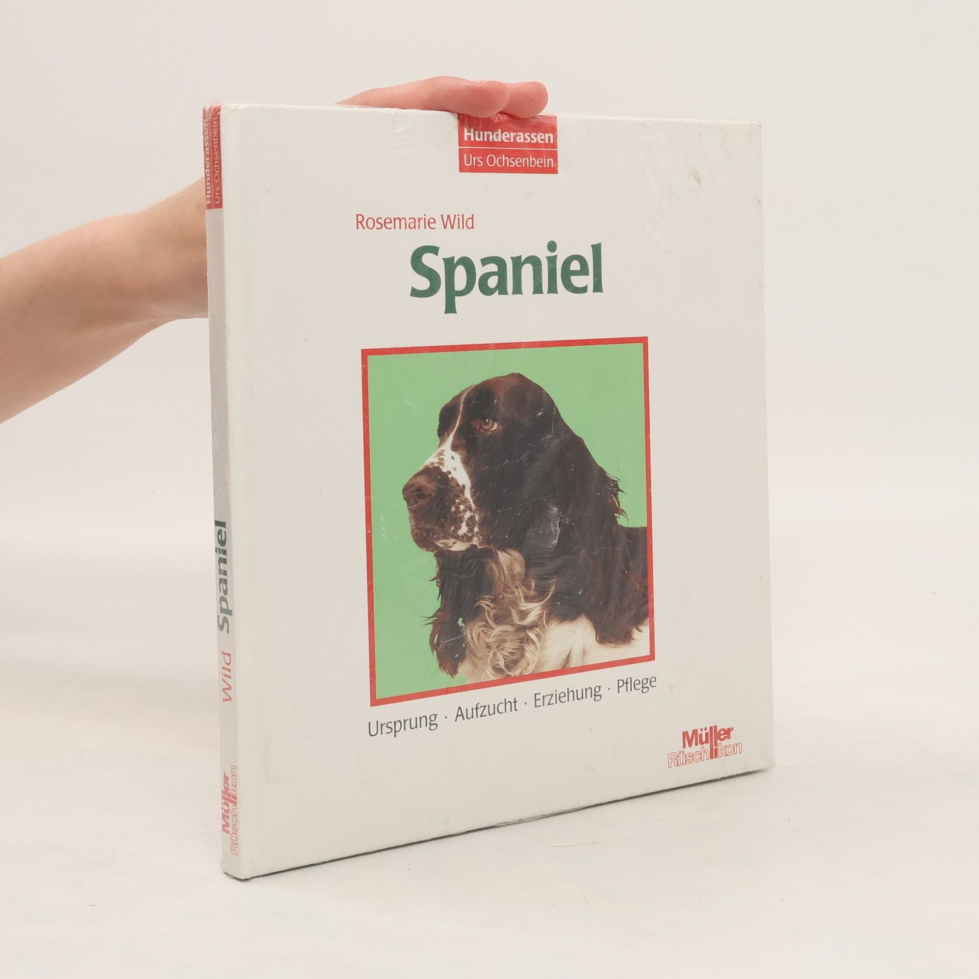 Rosemarie Wild Spaniel
