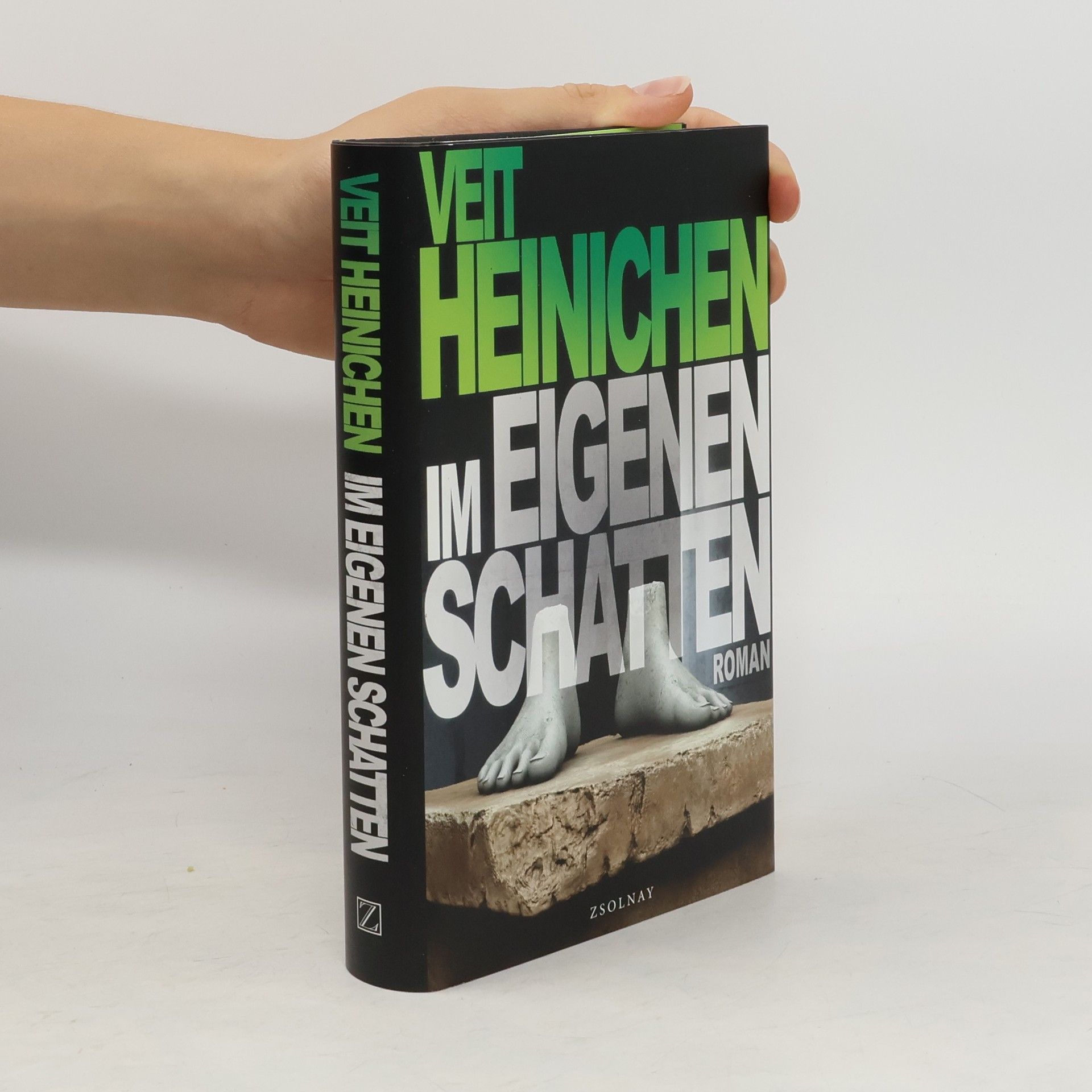 Veit Heinichen Im eigenen Schatten