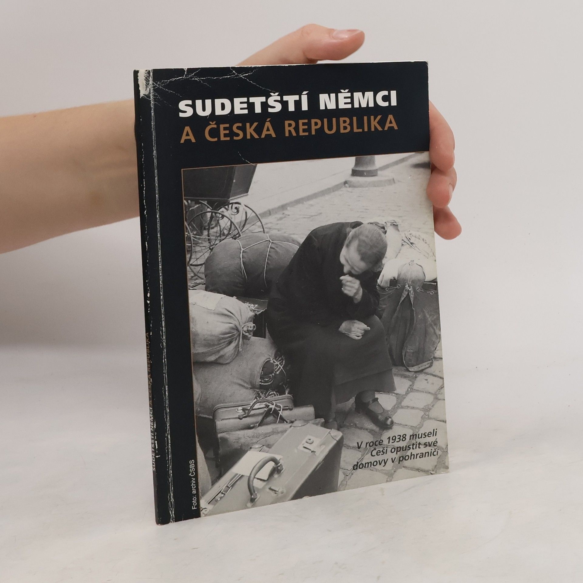 Šárka Helmichová Sudetští Němci a Česká republika