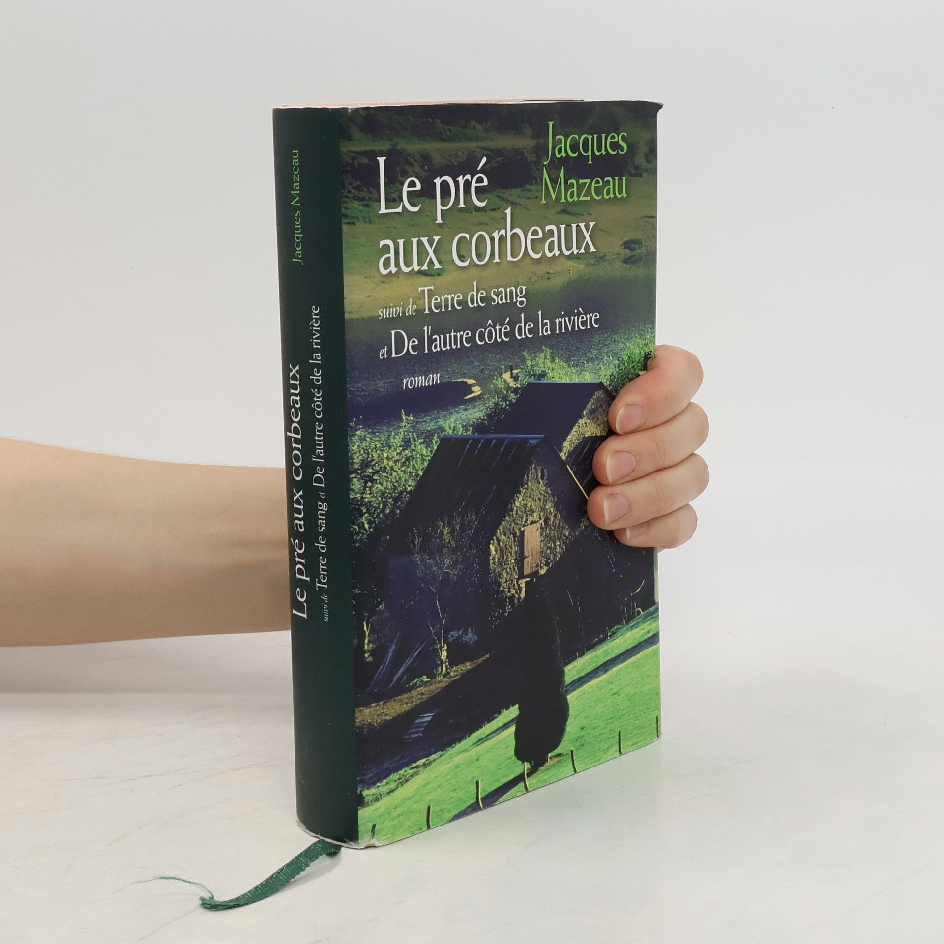 Jacques Mazeau Le pré aux corbeaux