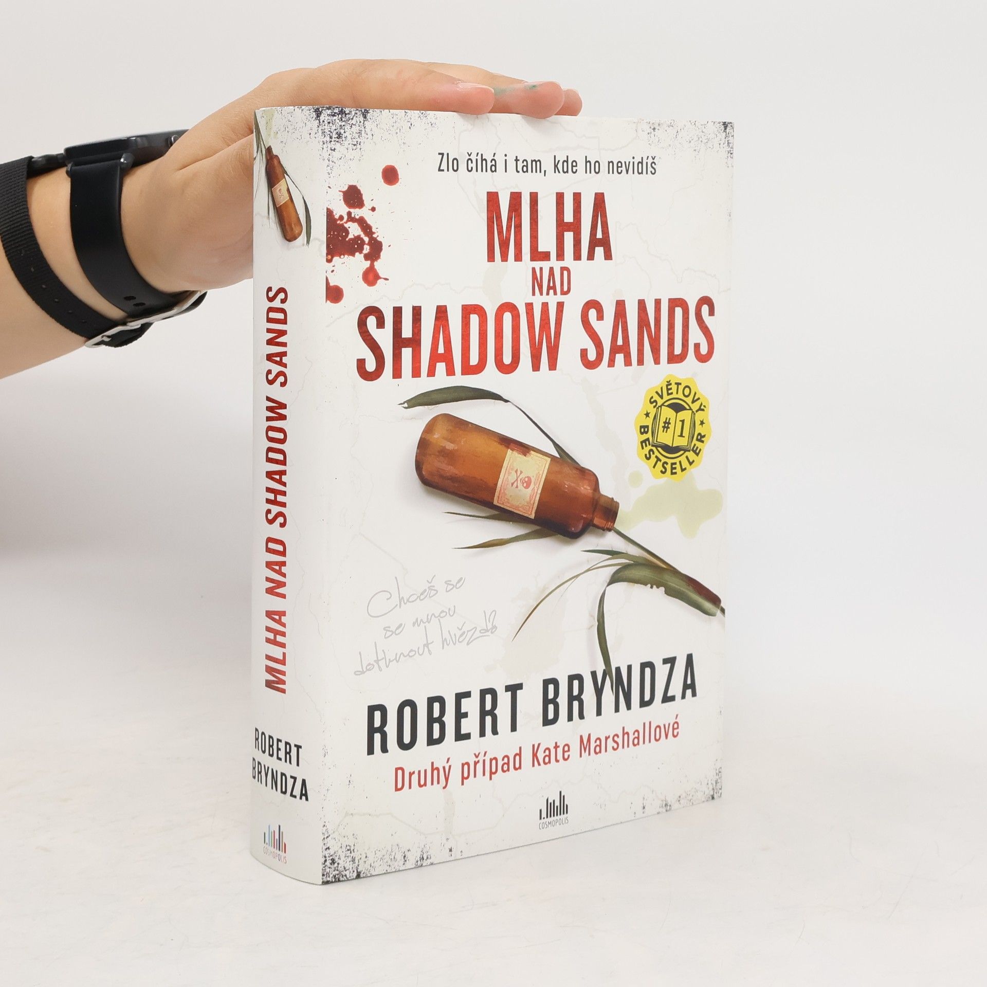 Robert Bryndza Mlha nad Shadow Sands