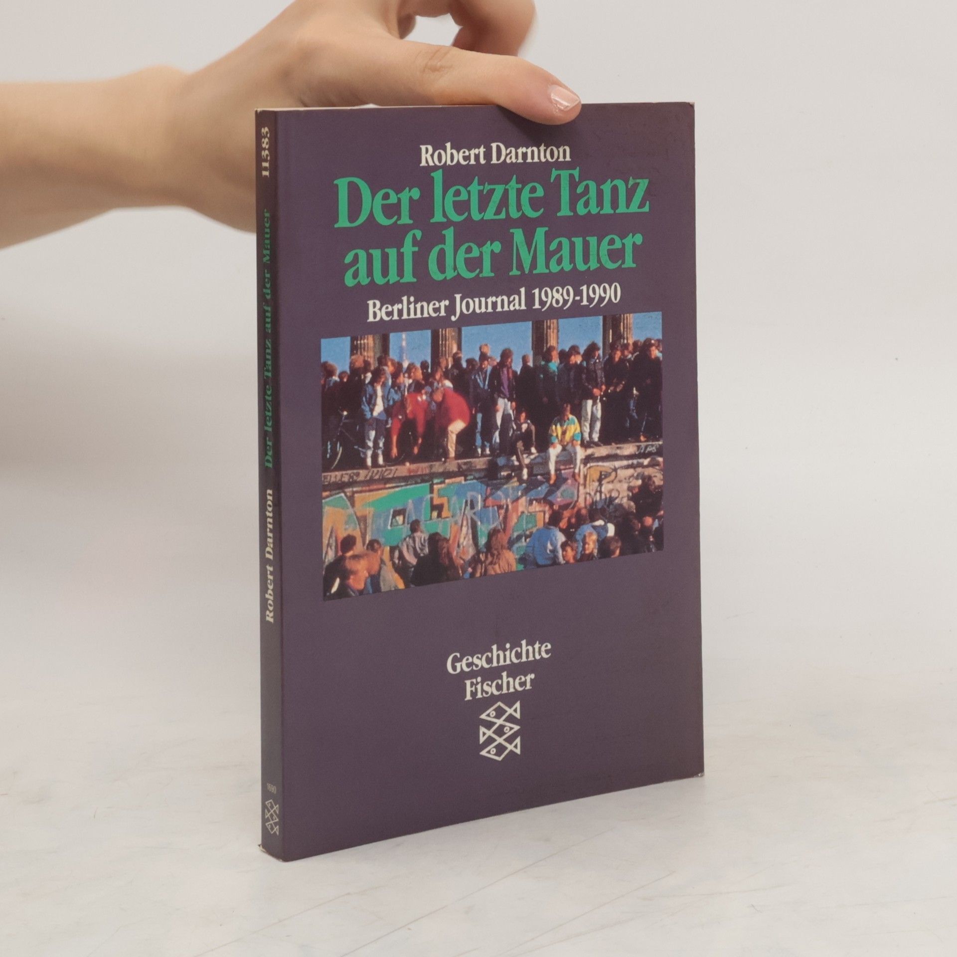 Robert Darnton Der letzte Tanz auf der Mauer