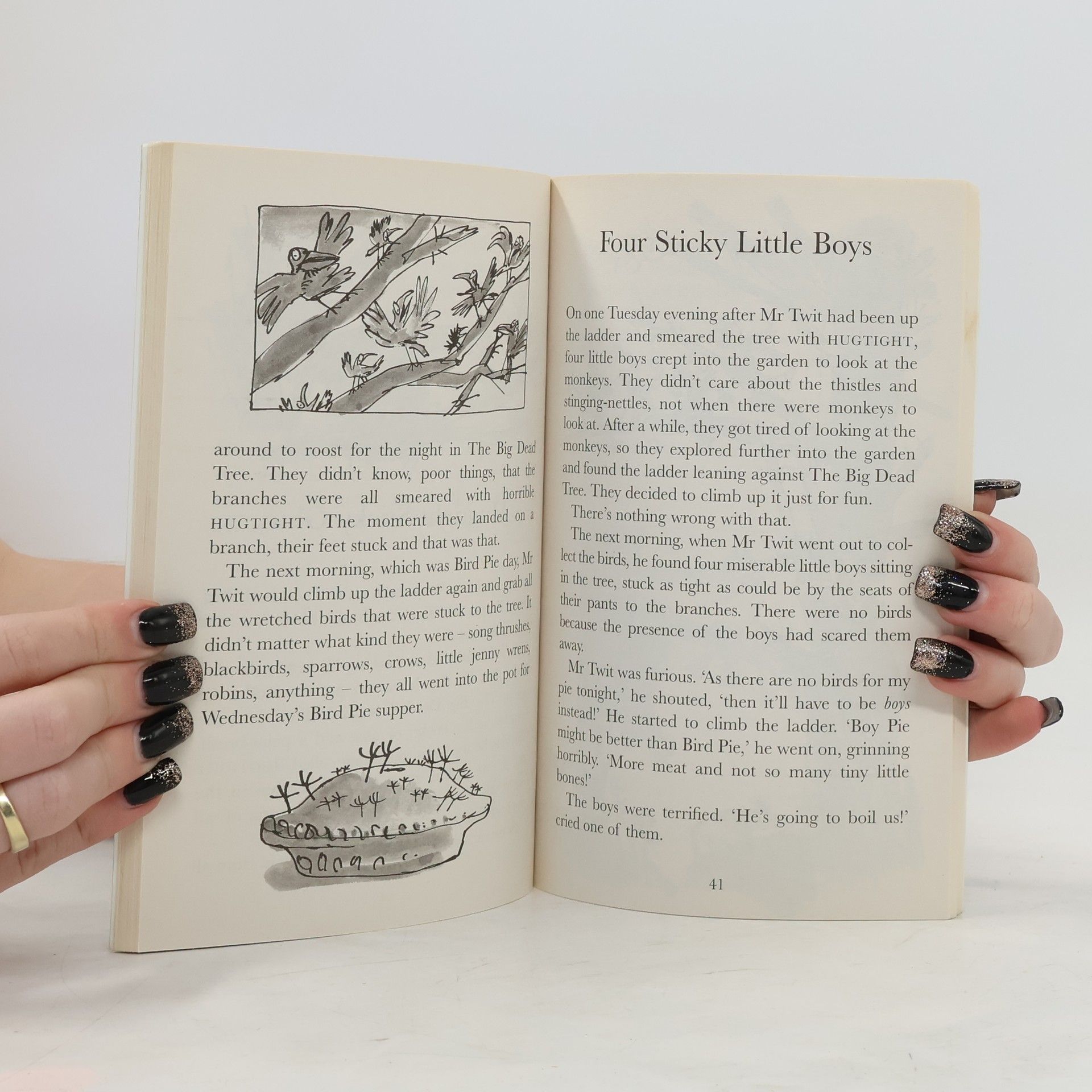 Roald Dahl The Twits