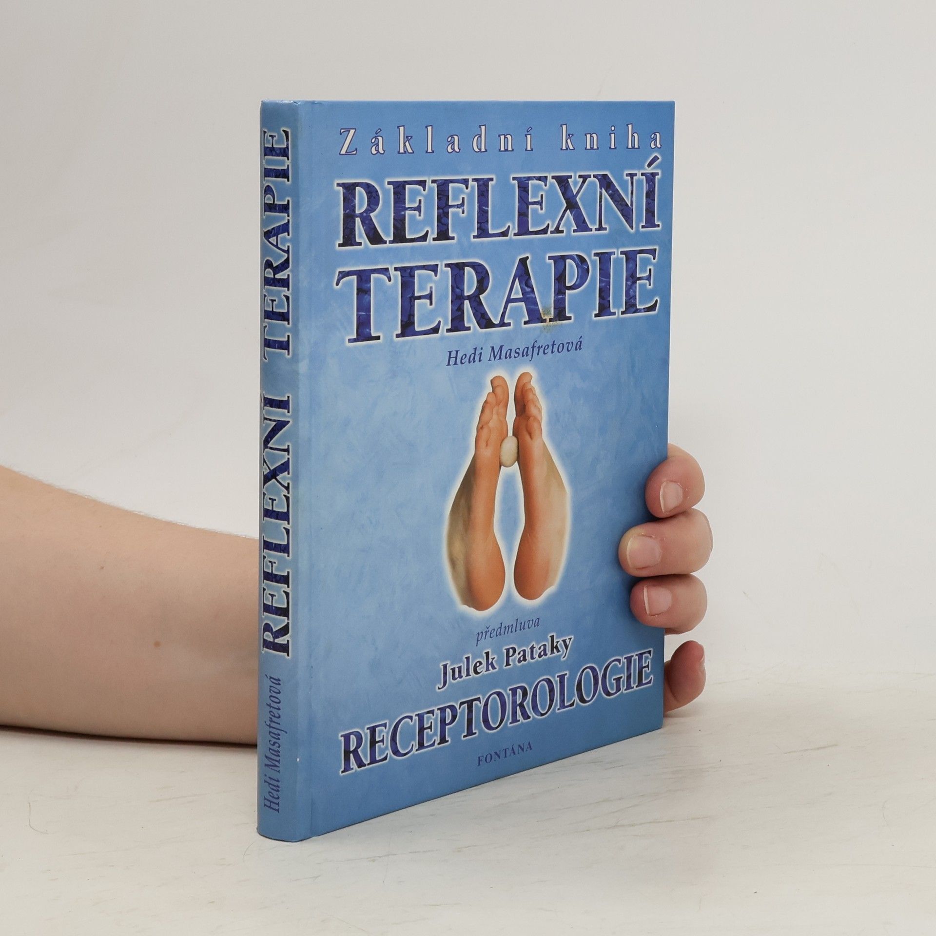 Hedi Masafret Základní kniha reflexní terapie