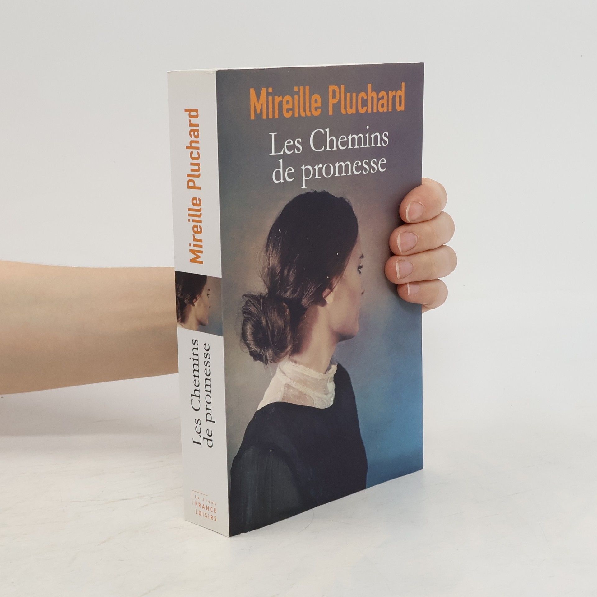 Mireille Pluchard Les chemins de promesse