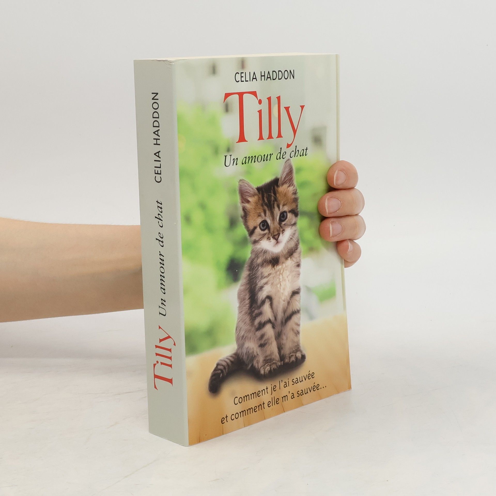 Celia Haddon Tilly