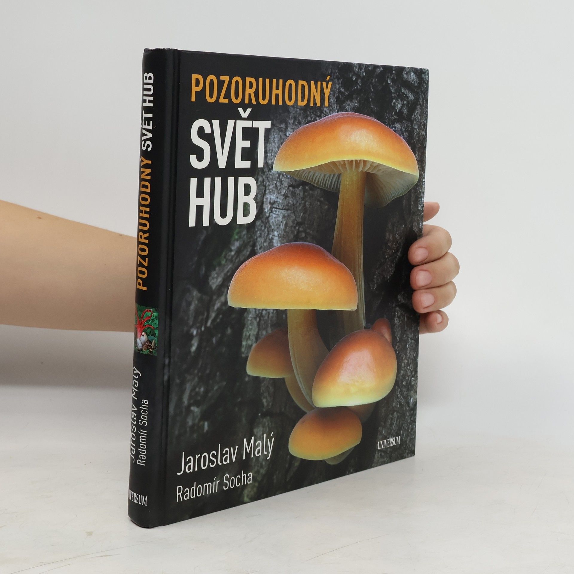 Radomír Socha Pozoruhodný svět hub