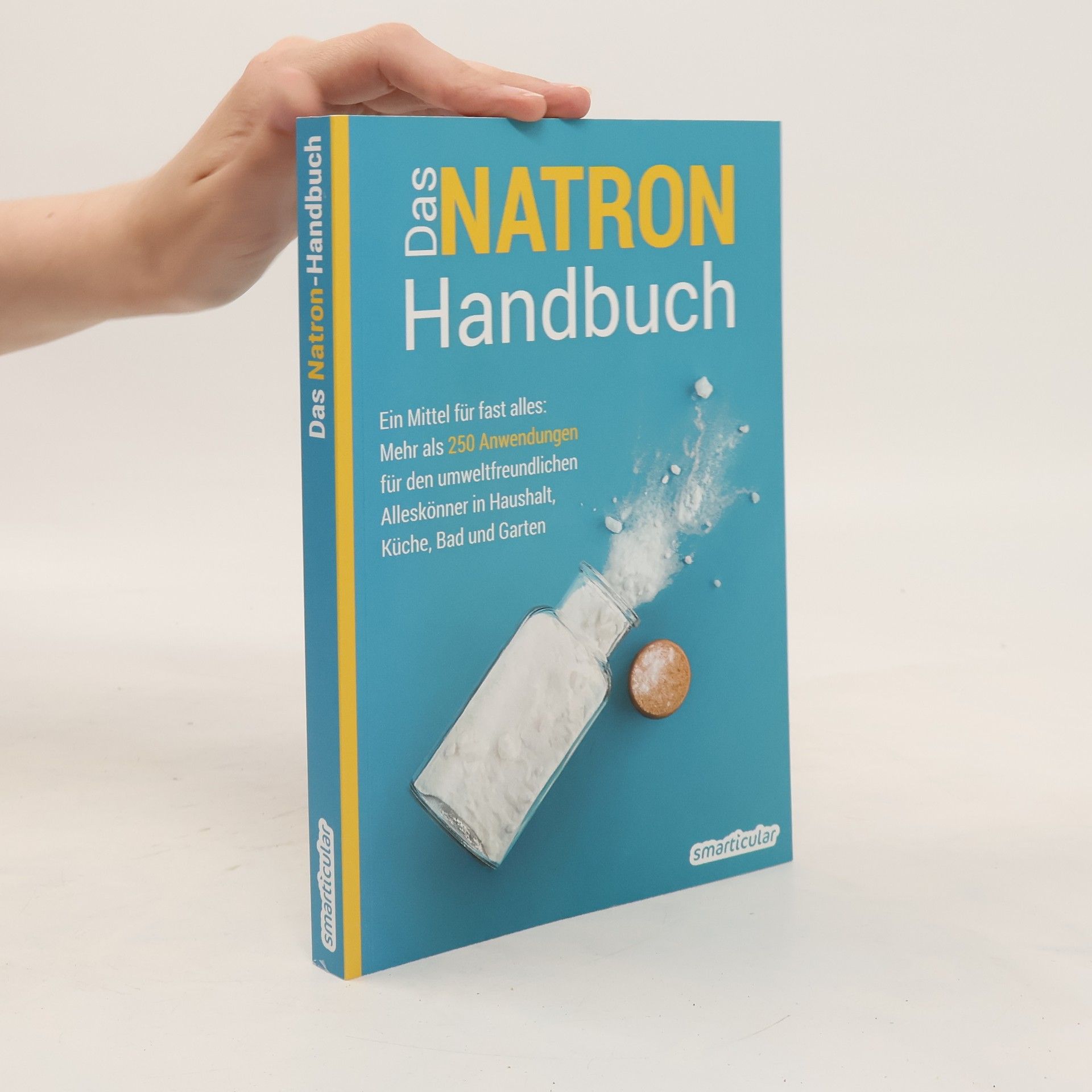 Collectif d'auteurs Das Natron-Handbuch