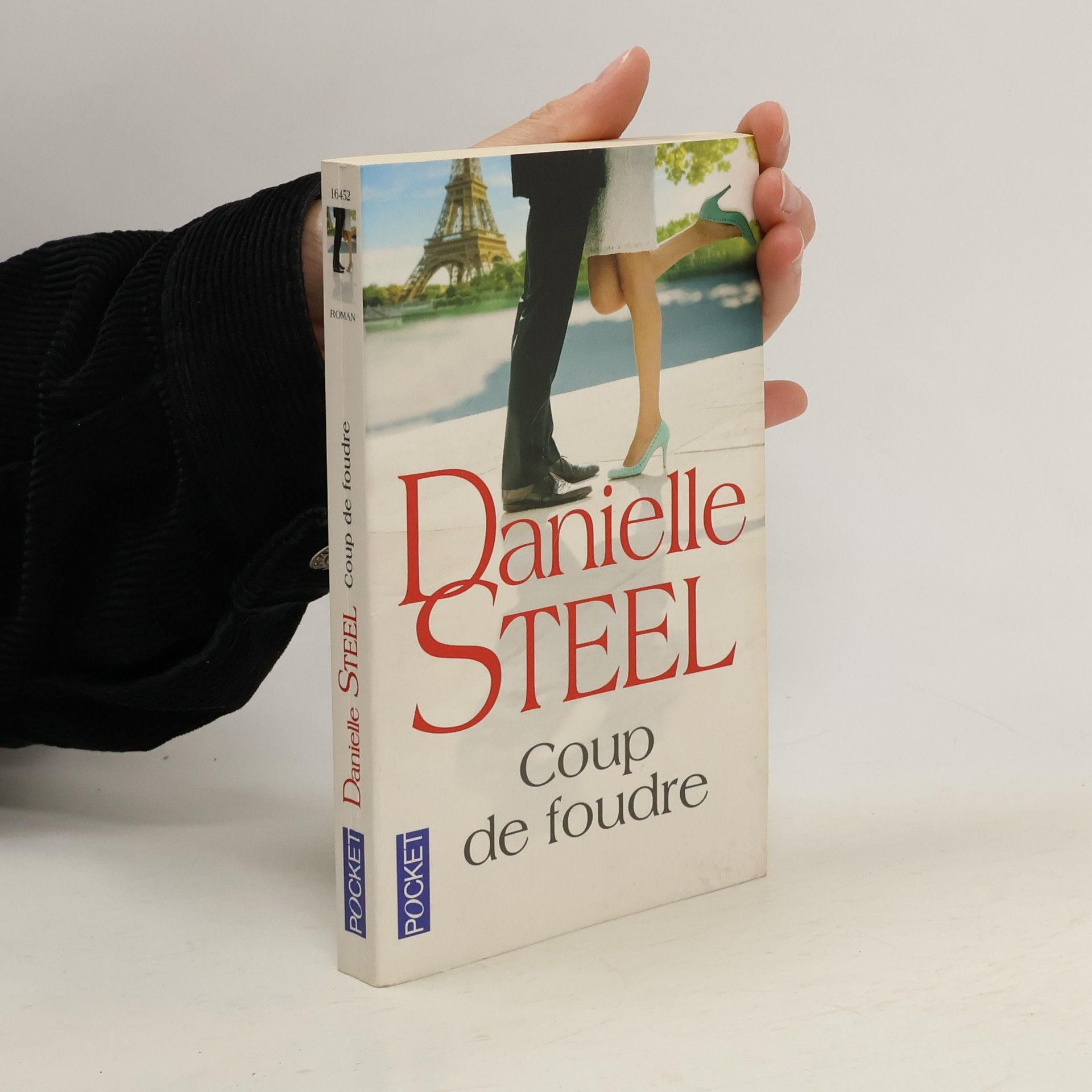 Danielle Steel Coupe de foudre