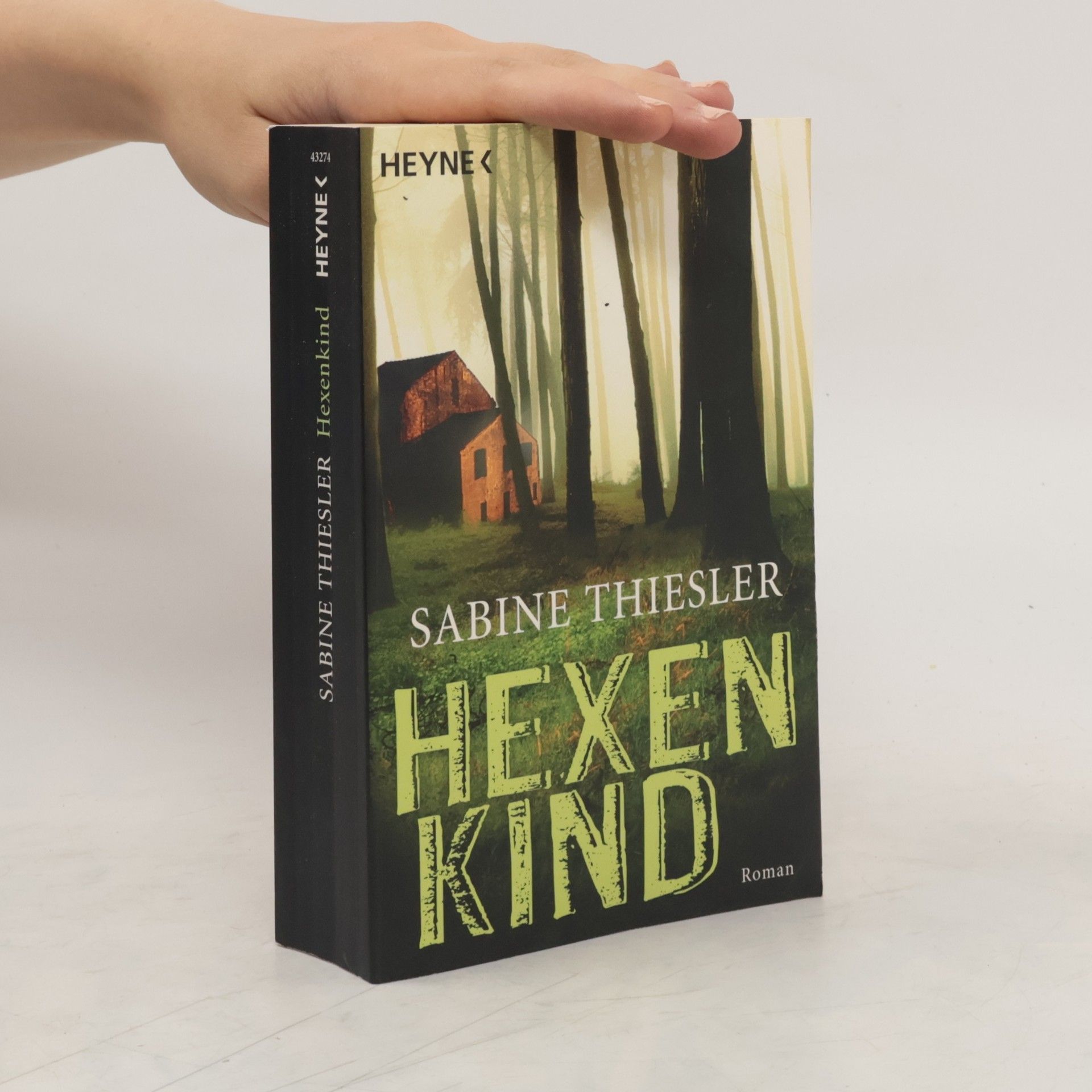 Sabine Thiesler Hexenkind - Roman