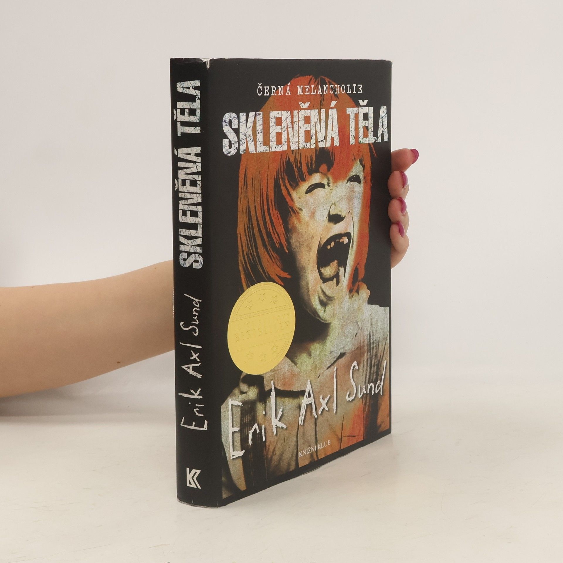Erik Axl Sund Skleněná těla. Černá melancholie