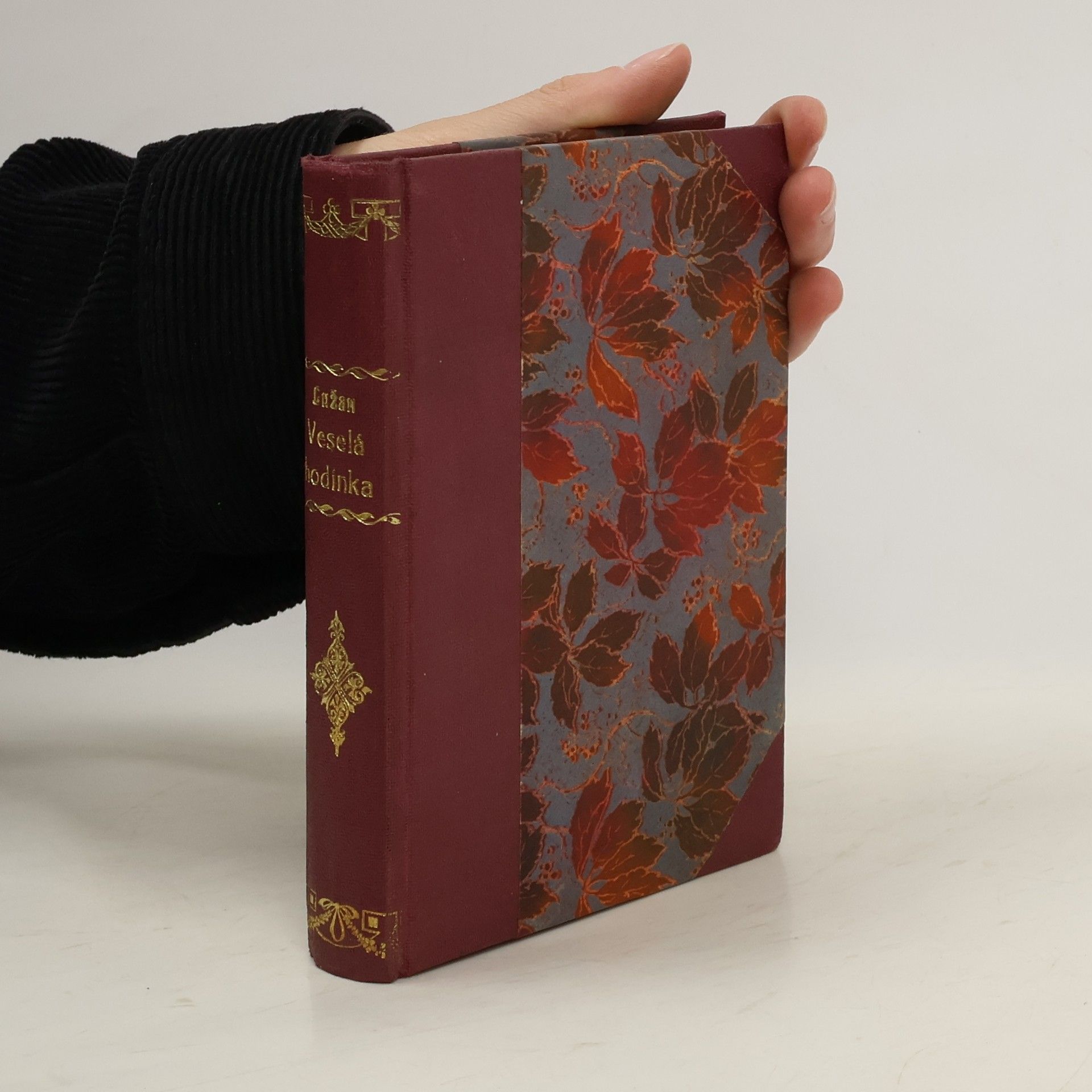 Karel Lužan Veselá hodinka