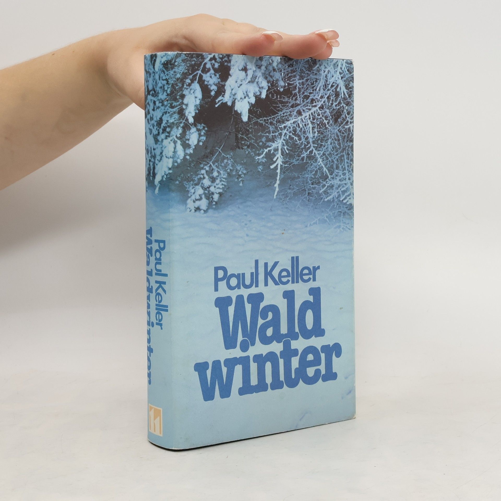 Paul Keller Wald winter