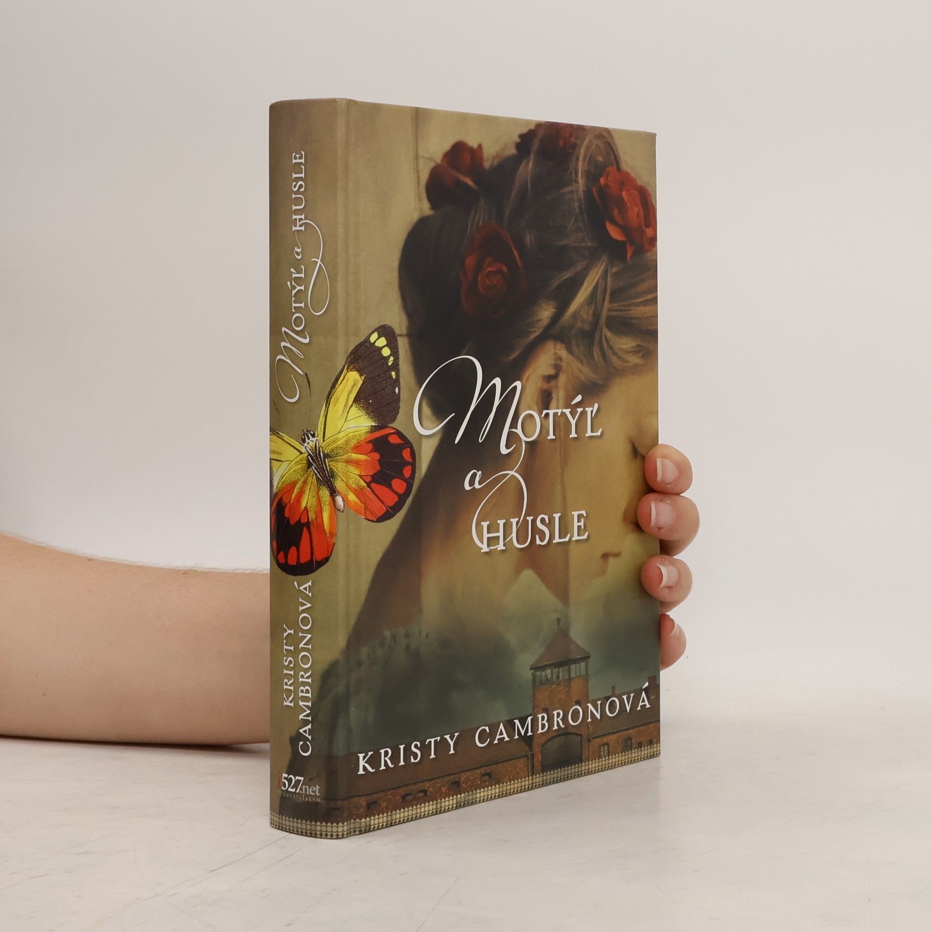 Kristy Cambron Motýl a husle