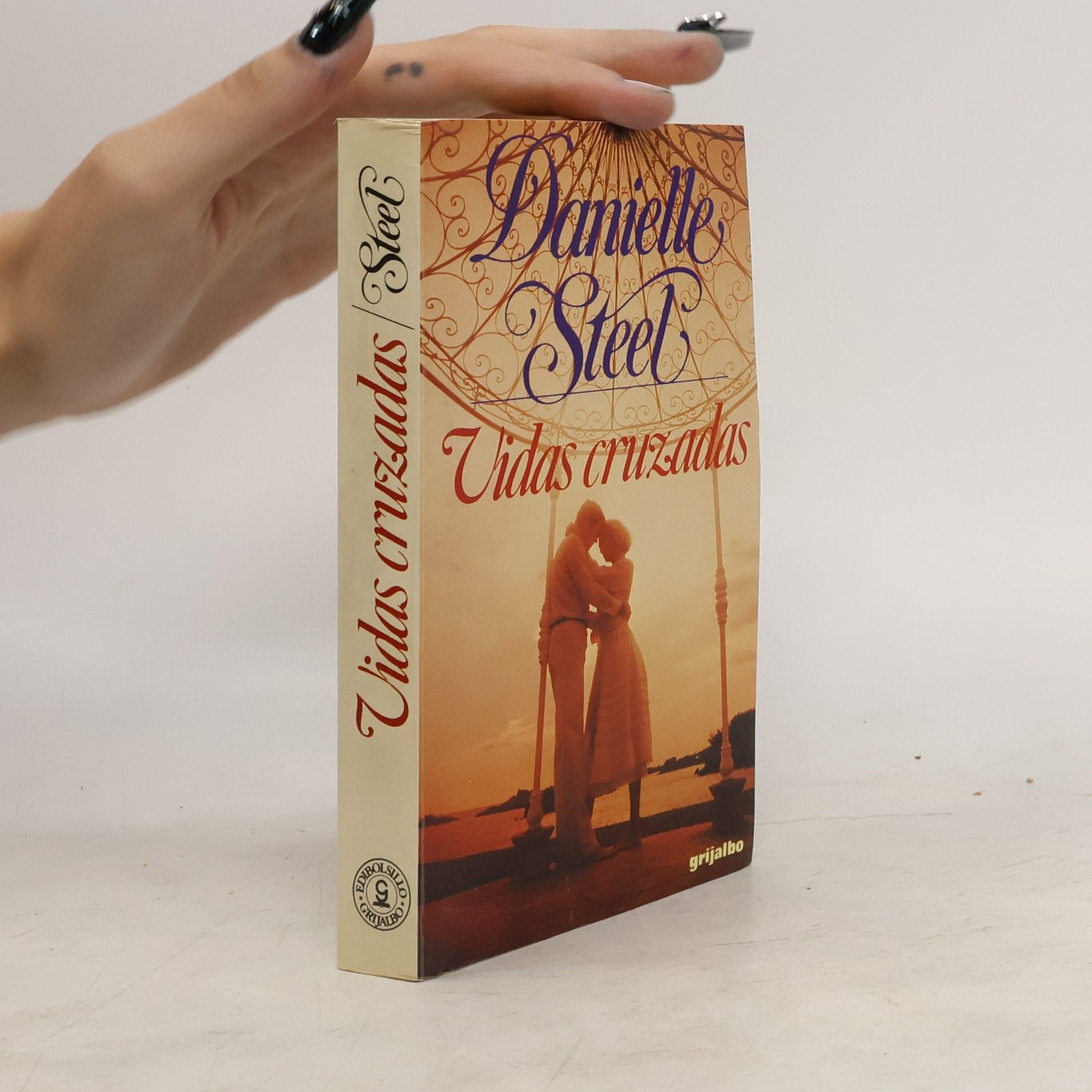 Danielle Steel Vidas cruzadas