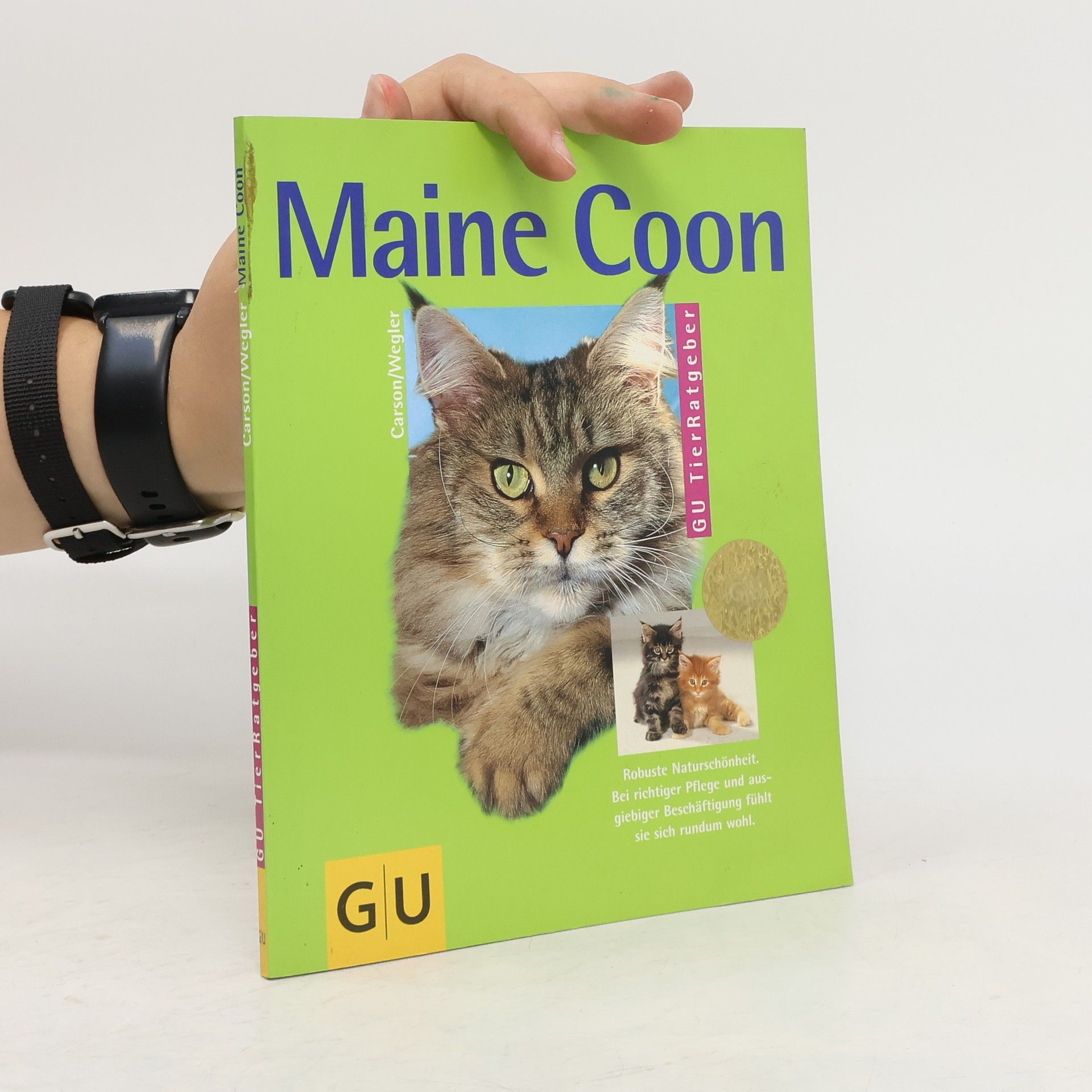 Elke Carson Maine Coon
