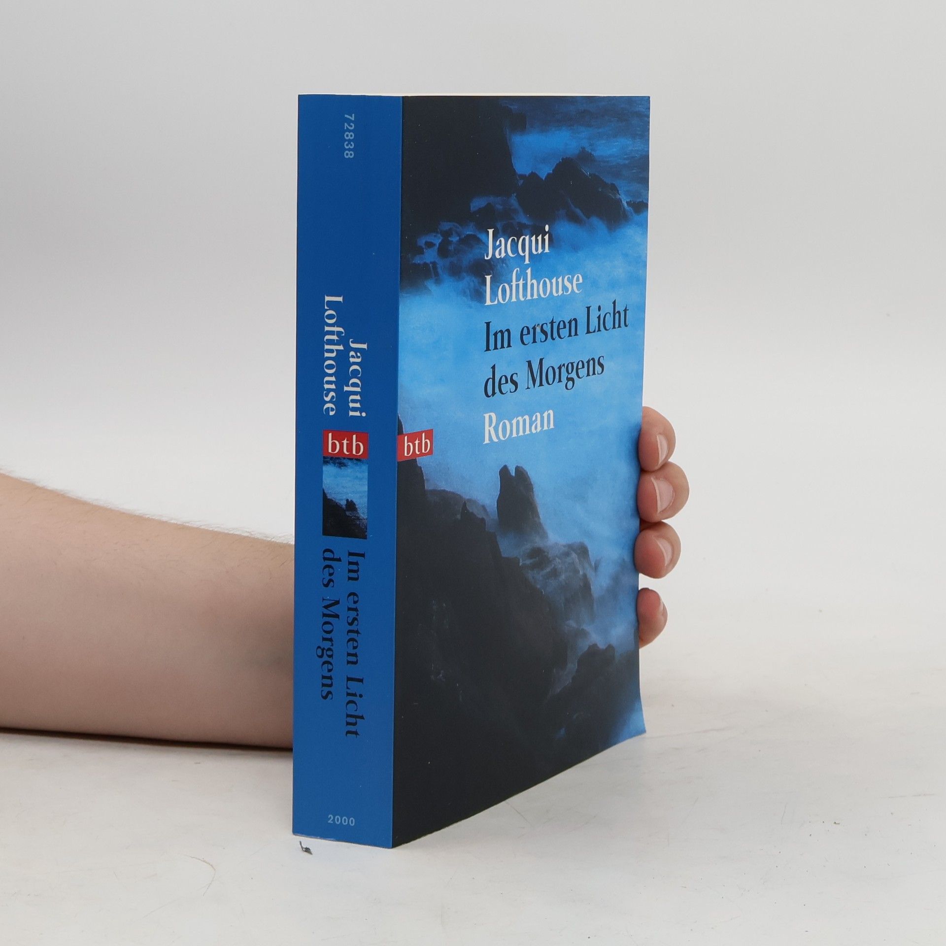 Jacqui Lofthouse Im ersten Licht des Morgens
