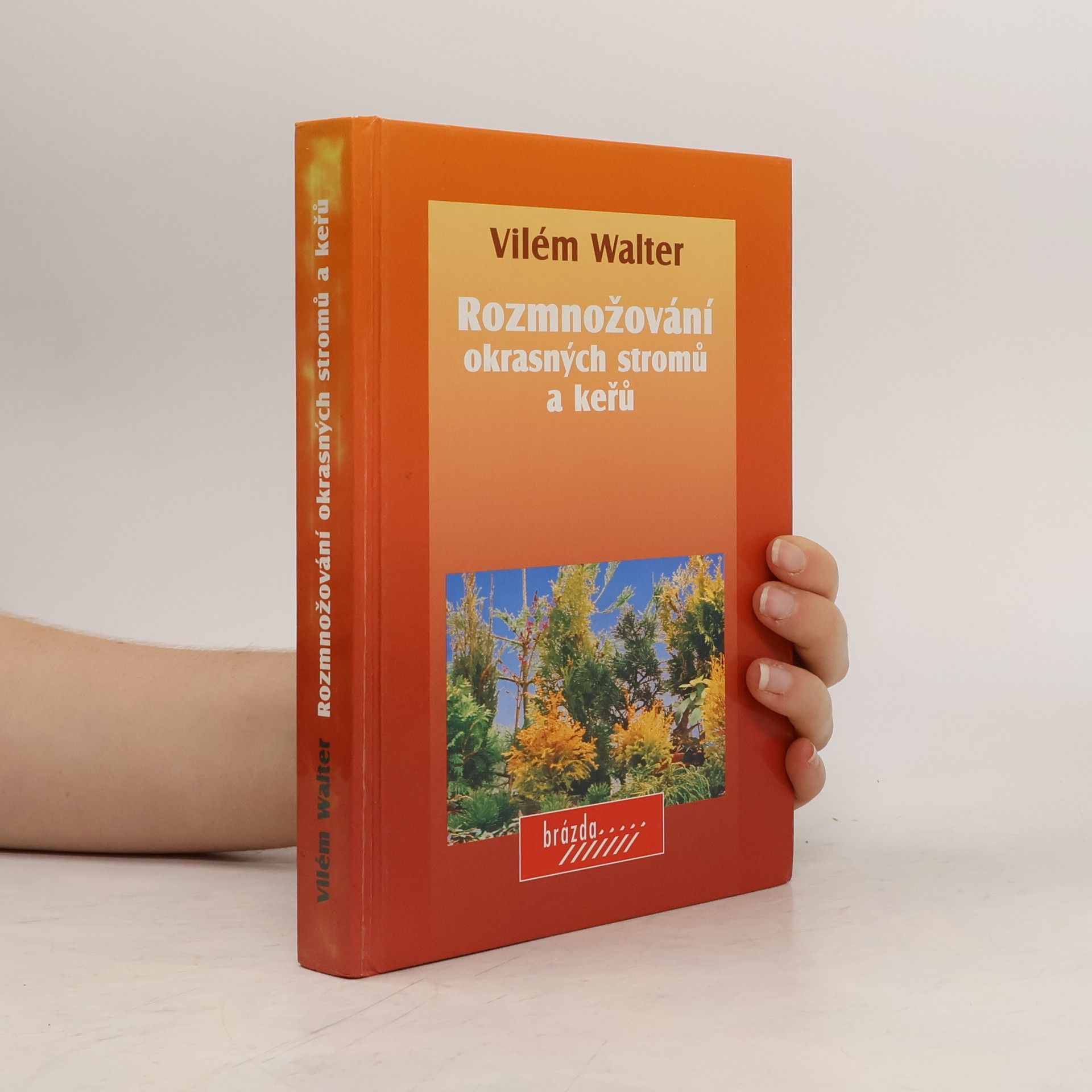 Vilém Walter Rozmnožování okrasných stromů a keřů