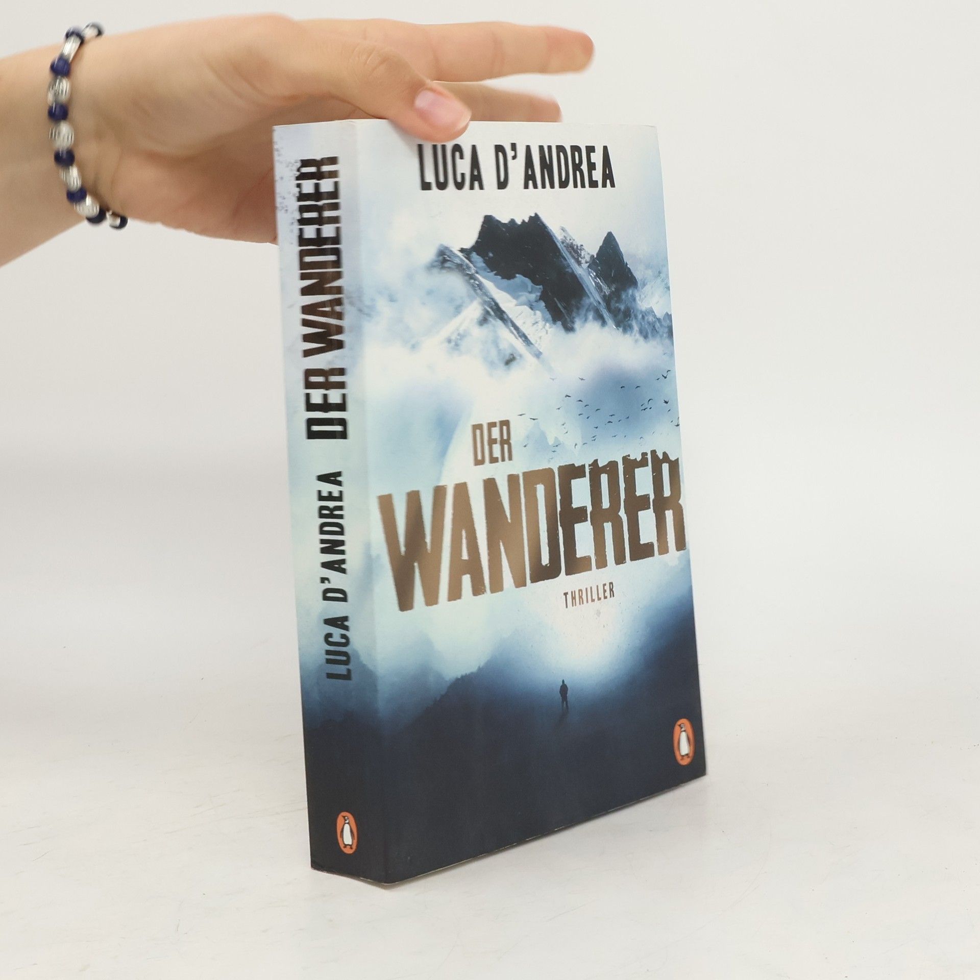 Luca D’Andrea Der Wanderer