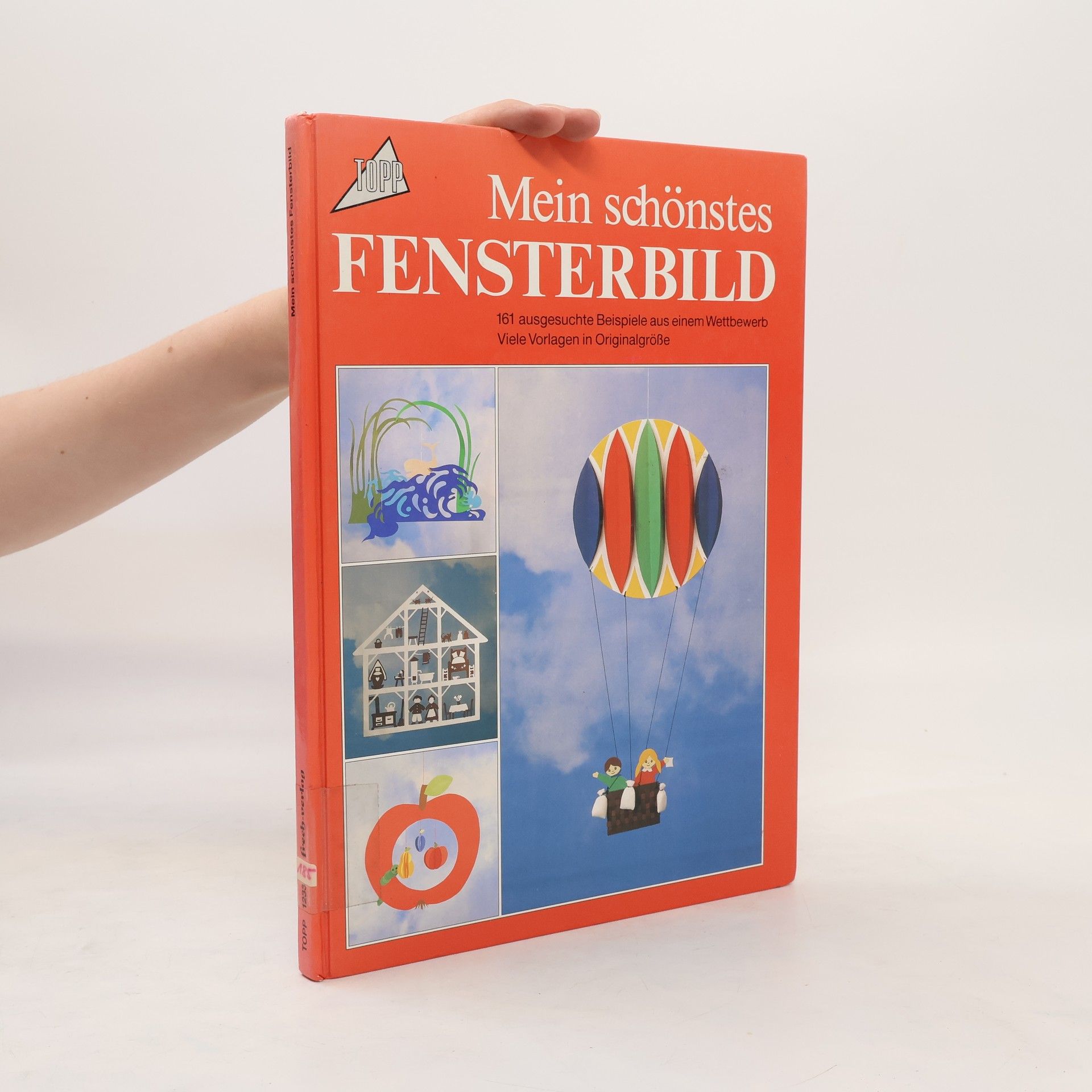 Autores varios Mein schönstes Fensterbild